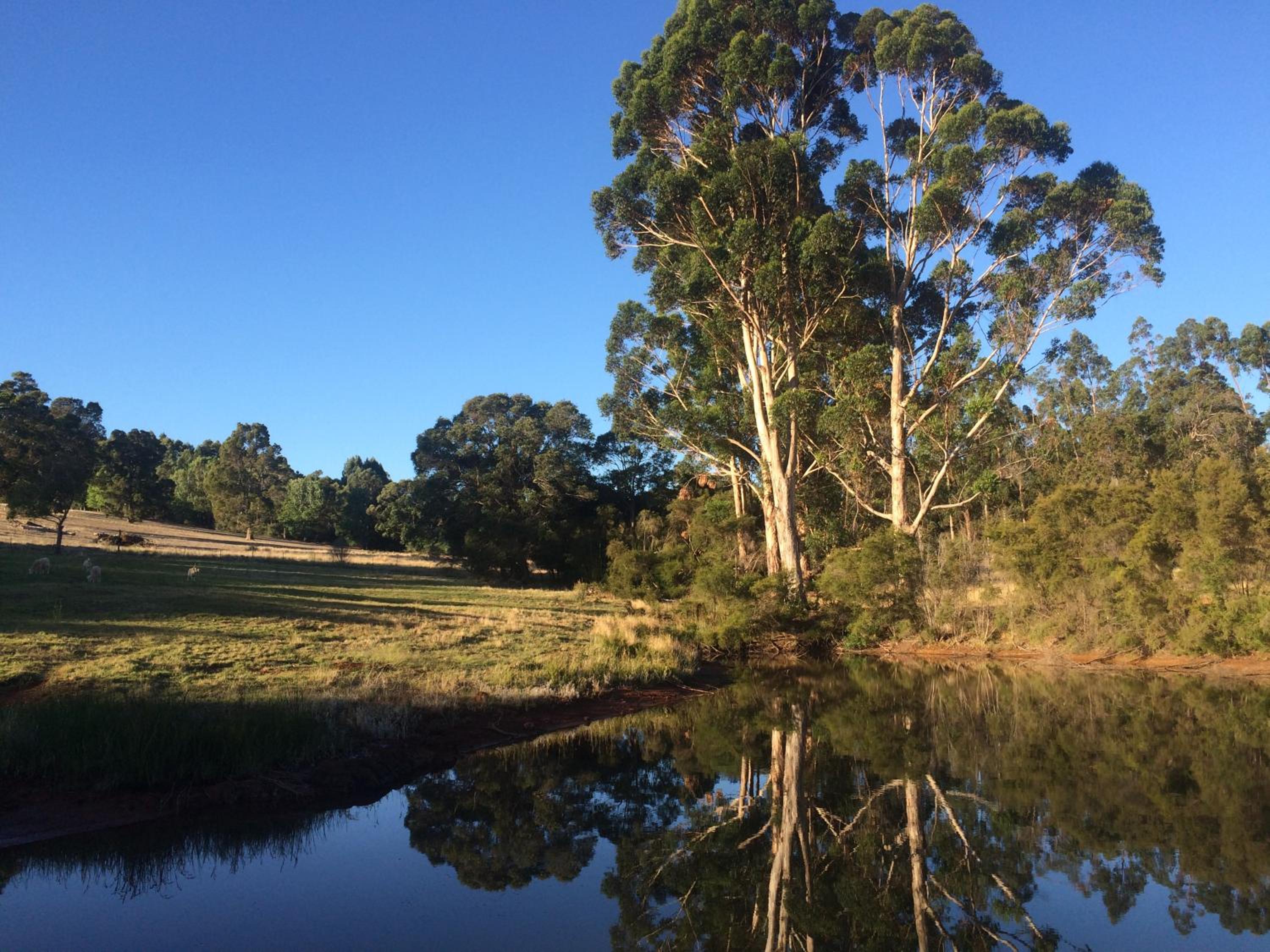 Chestnut Brae Farmstay - Chestnut Retreat
