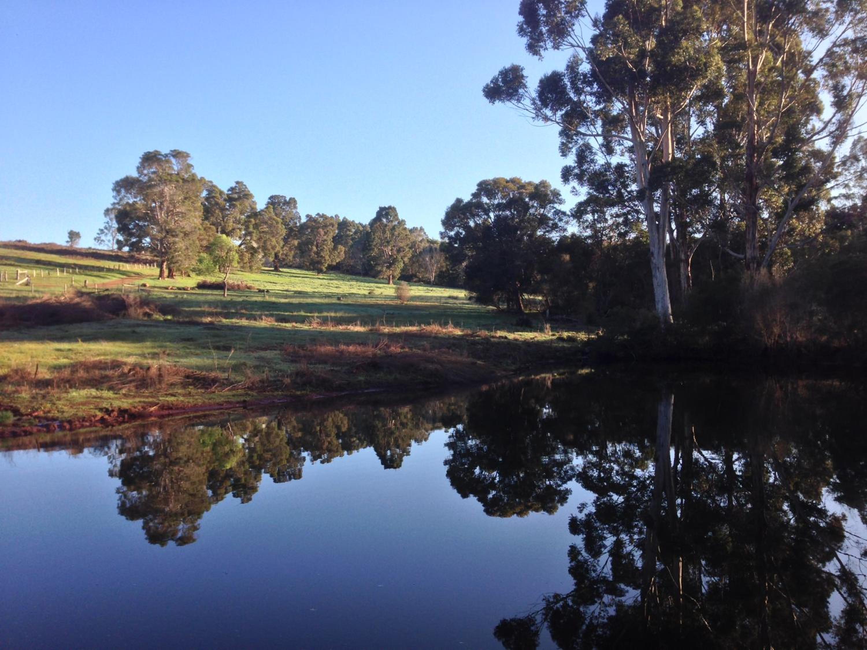 Chestnut Brae Farmstay - Chestnut Retreat