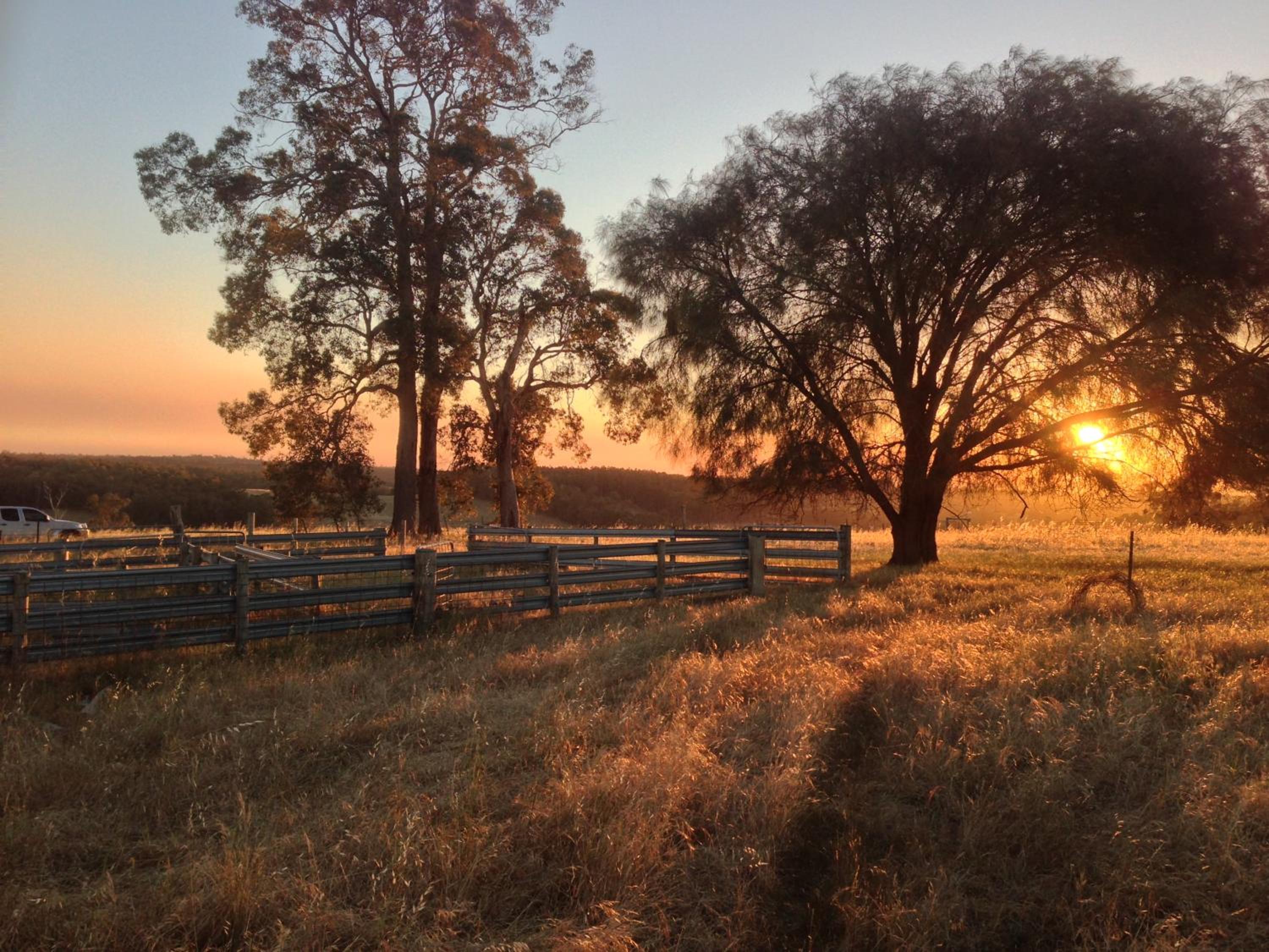 Chestnut Brae Farmstay - Chestnut Retreat