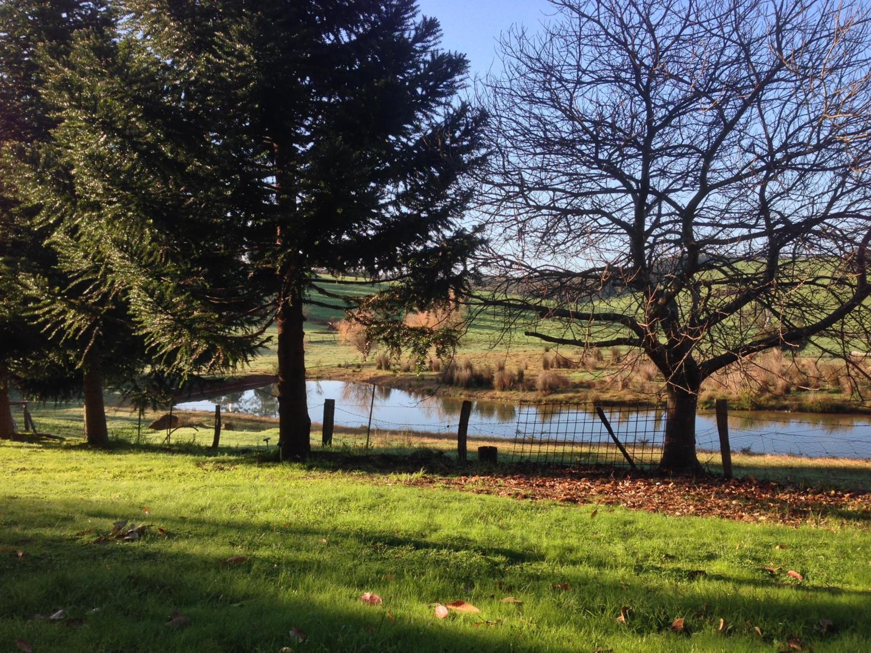 Chestnut Brae Farmstay - Chestnut Retreat