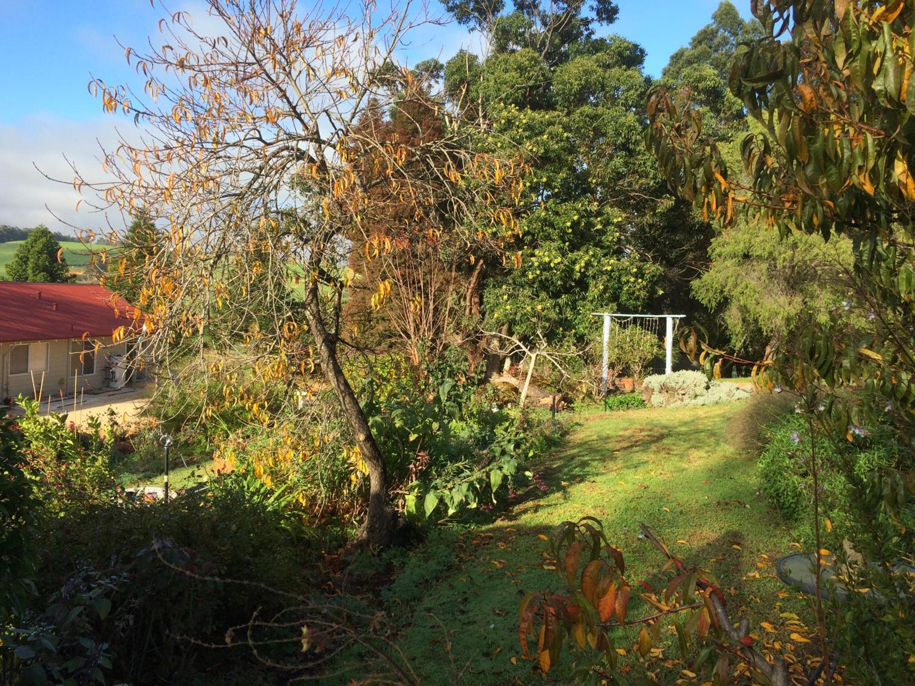 Chestnut Brae Farmstay - Chestnut Retreat