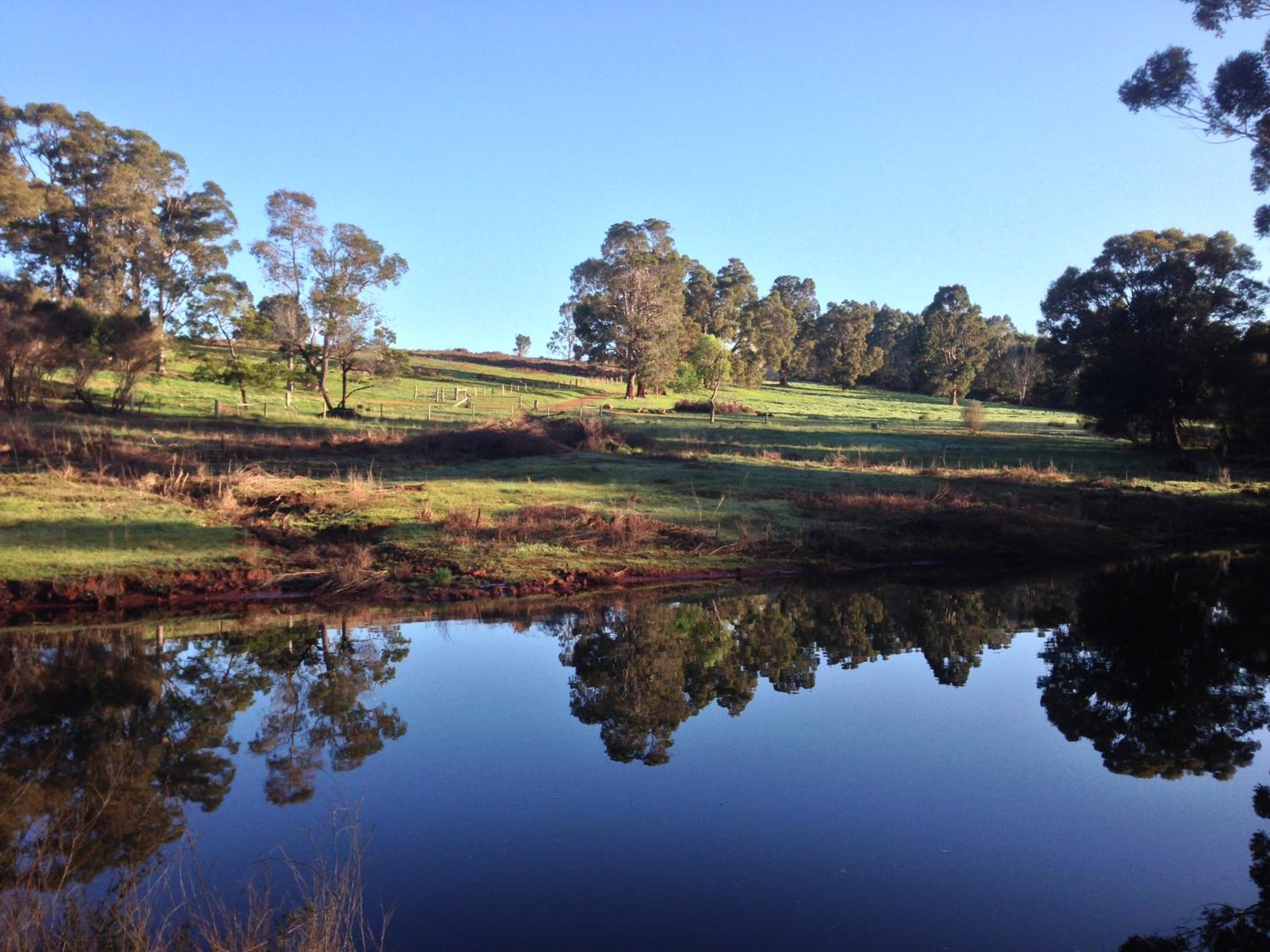Chestnut Brae Farmstay - Chestnut Retreat