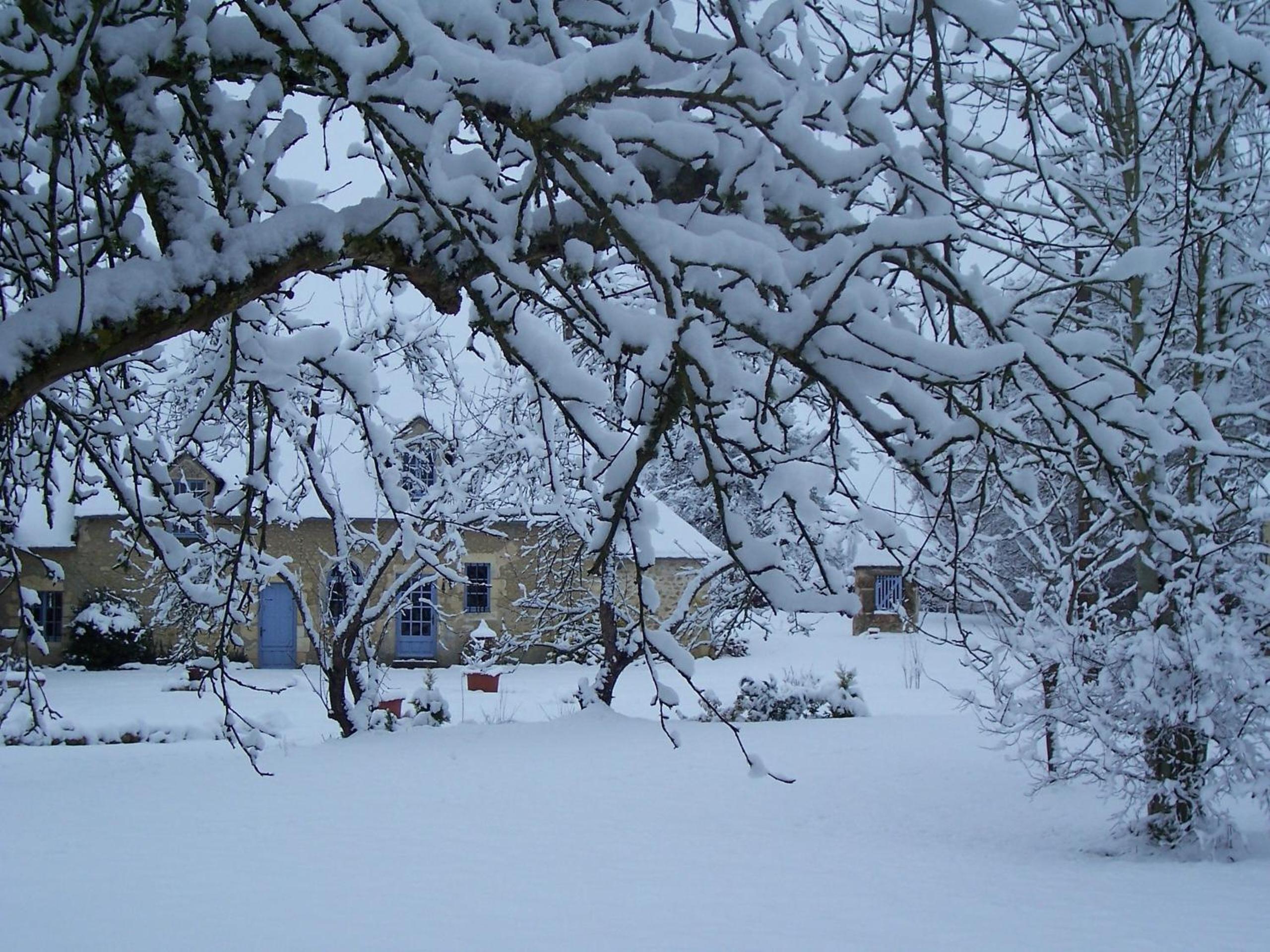 Photo 10