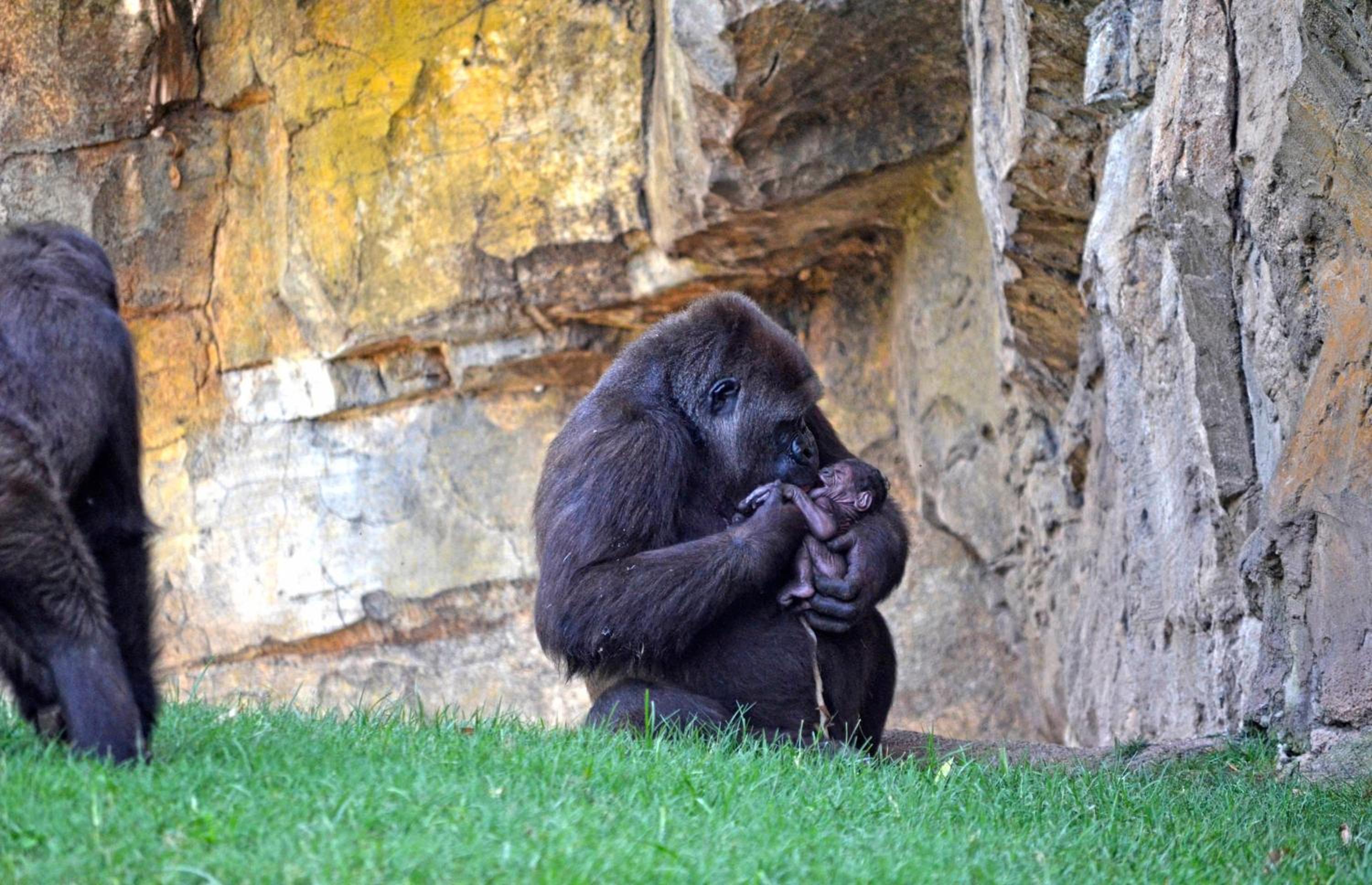 Photo 70