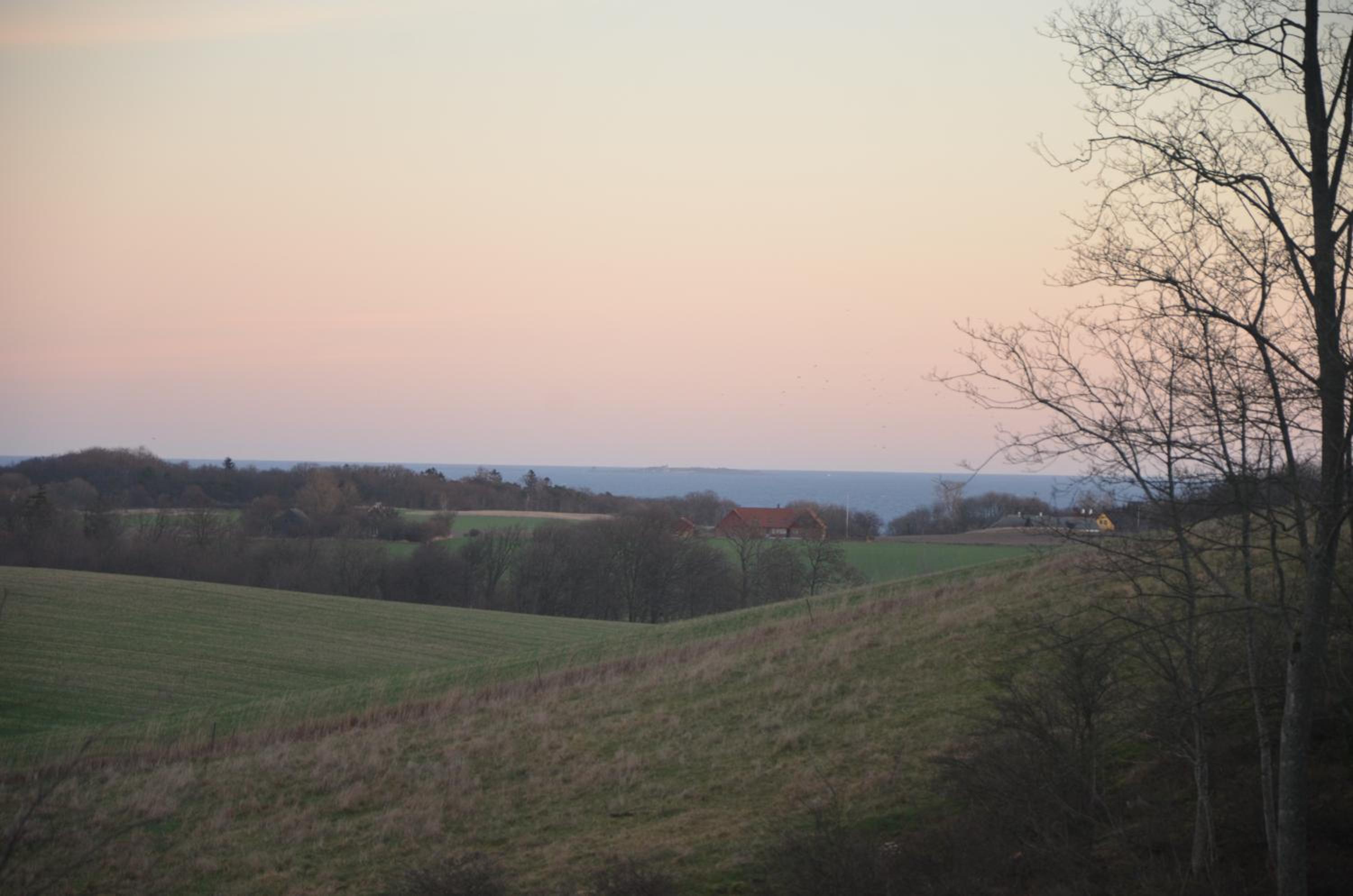 Lehnsgaard