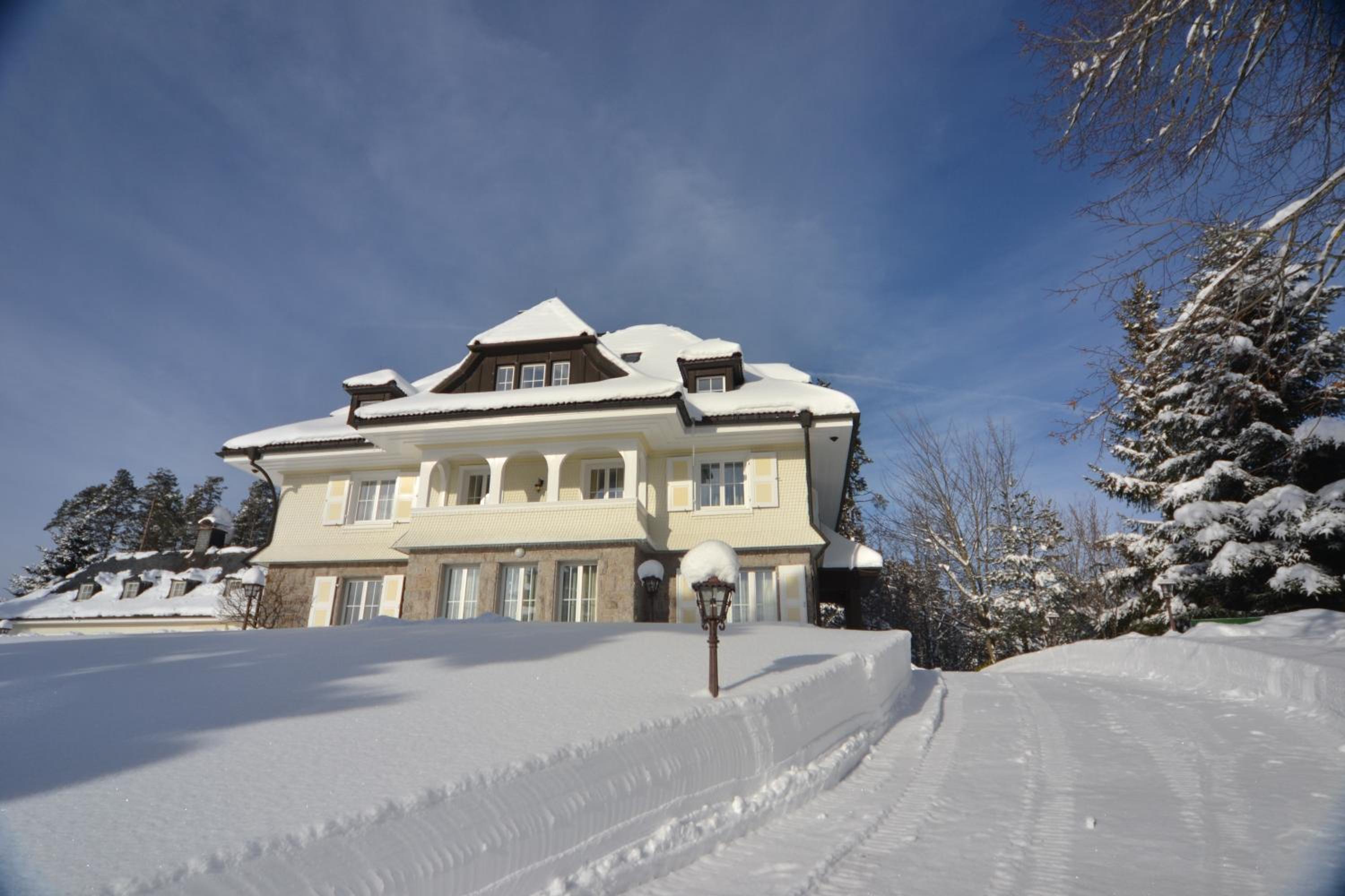 Villa Schwarzwald view 3