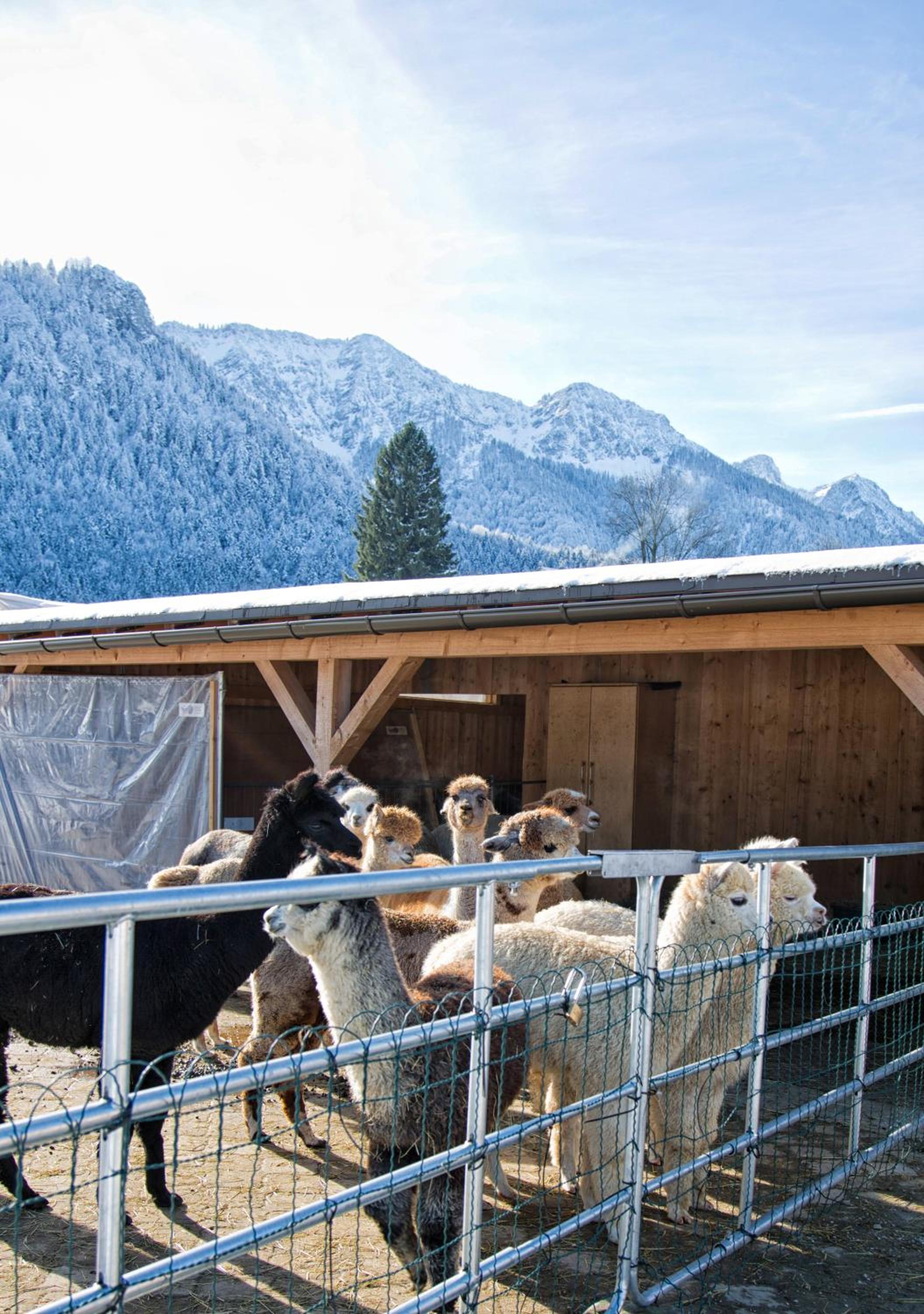 Pension Restner
