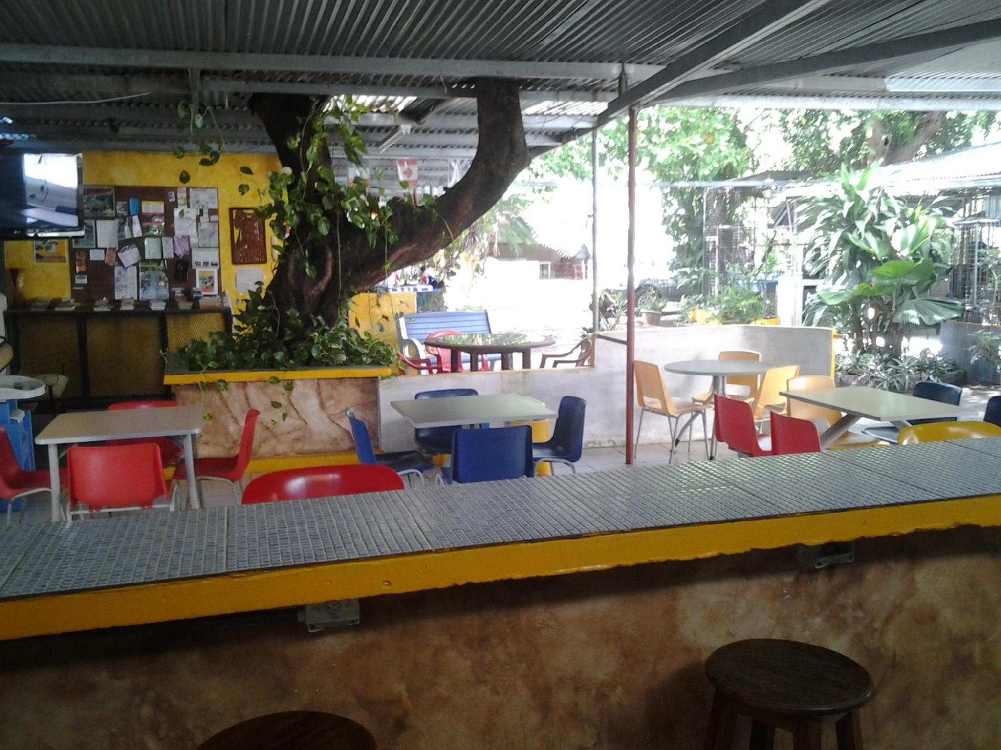Photo 10