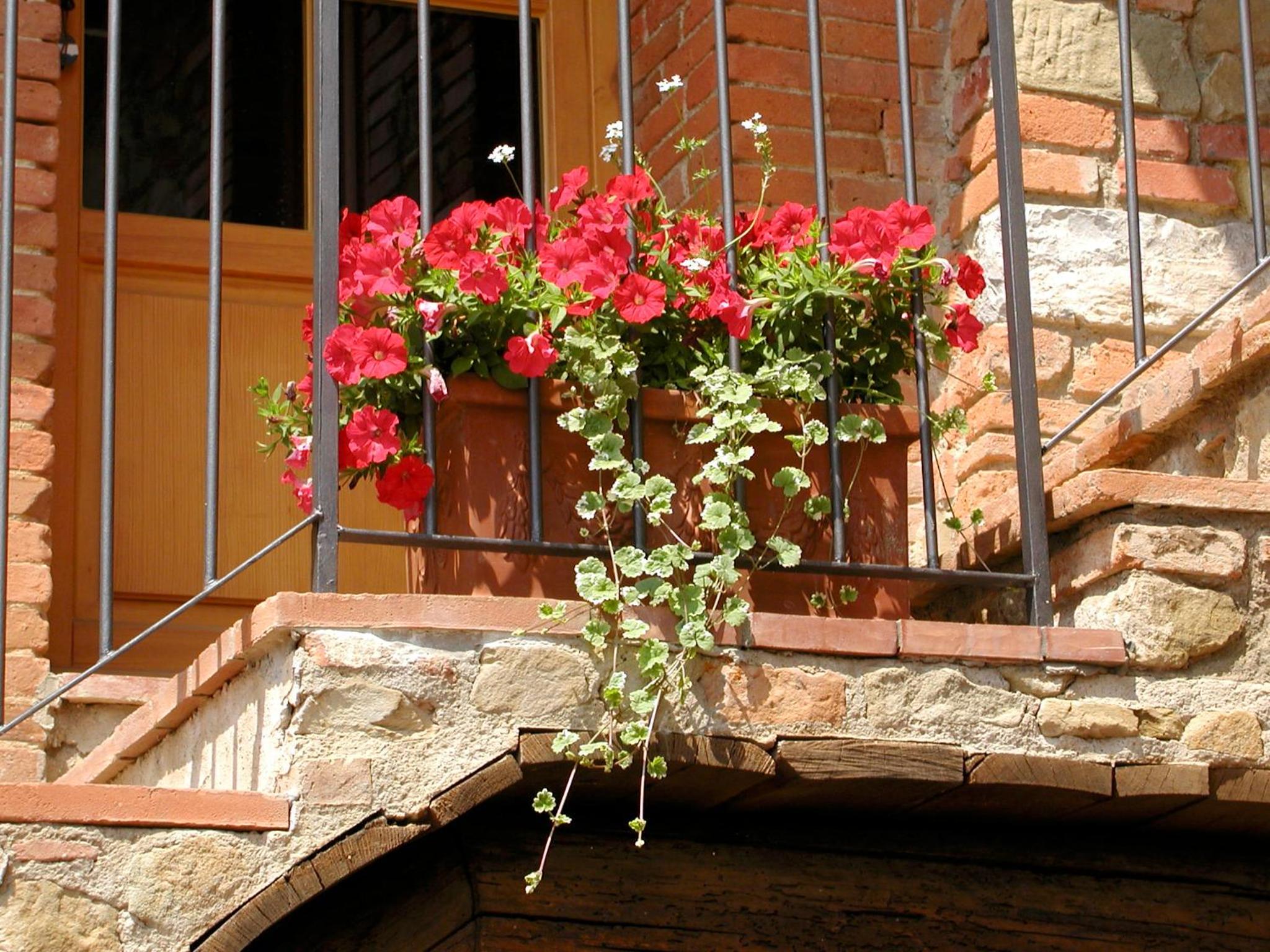 Ventena Vecchia antico frantoio