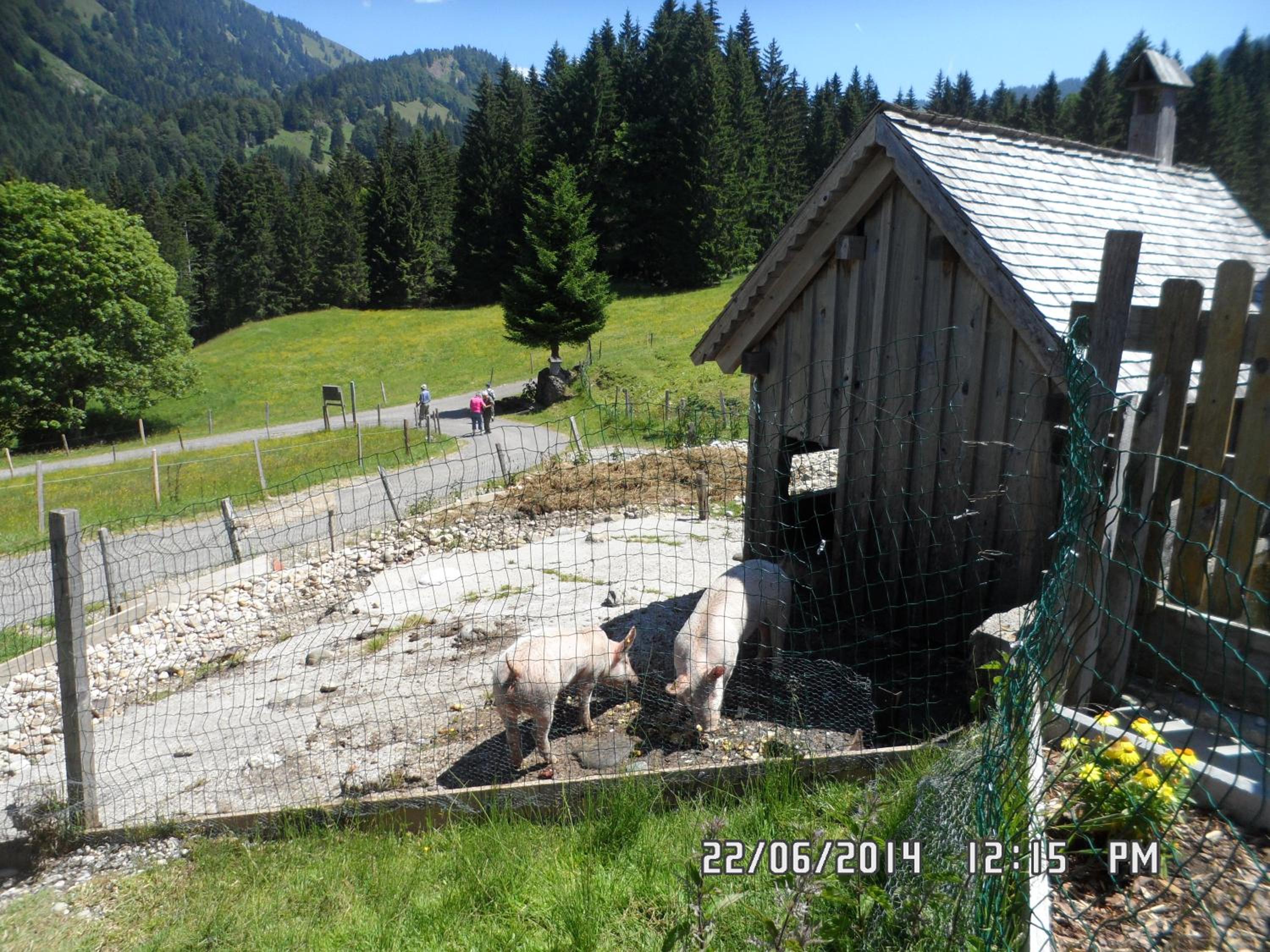 Jausenstation Neuschwand