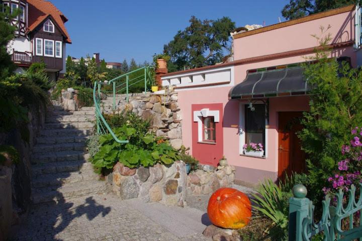 Photo 29
