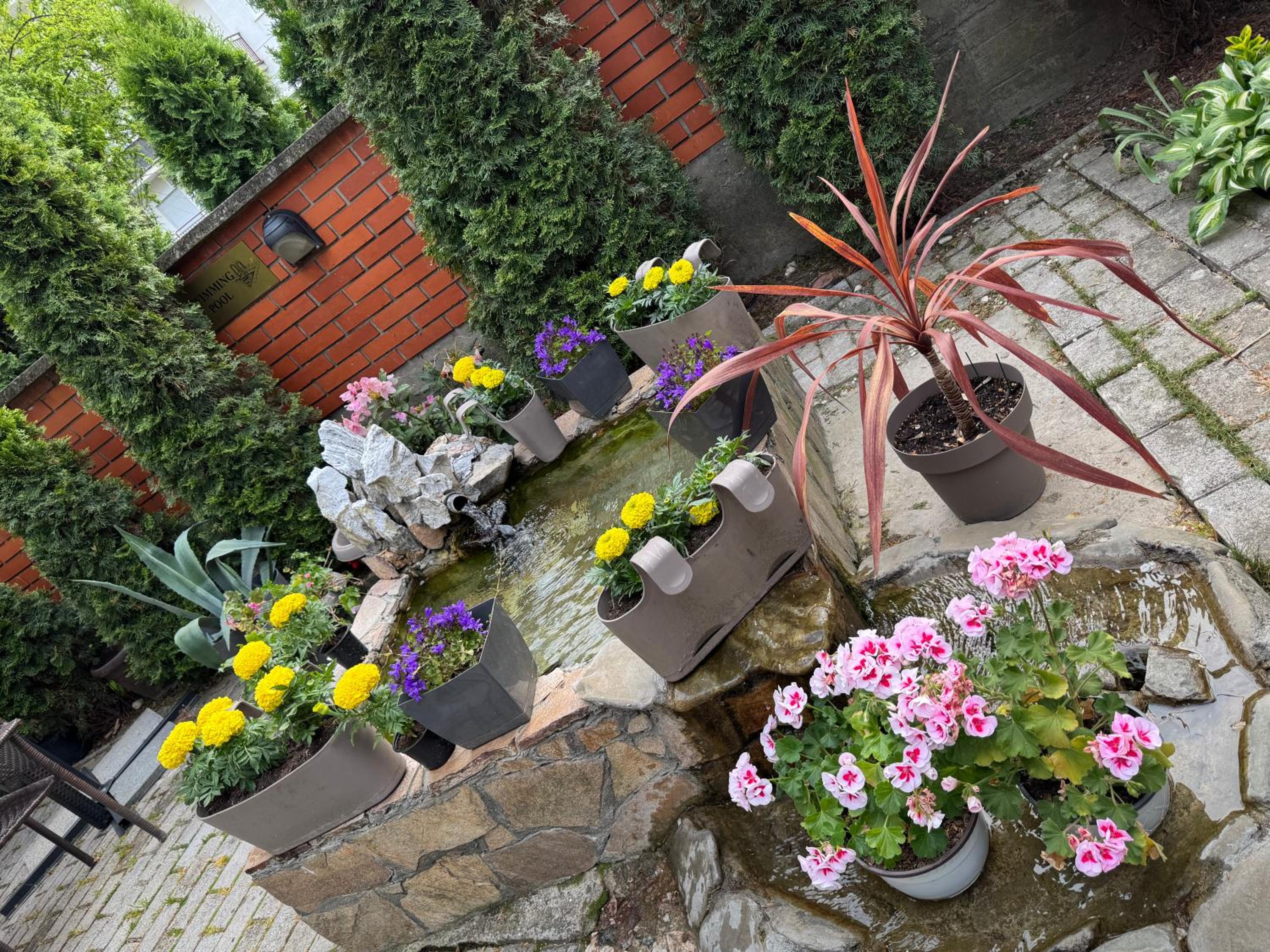 Photo 16