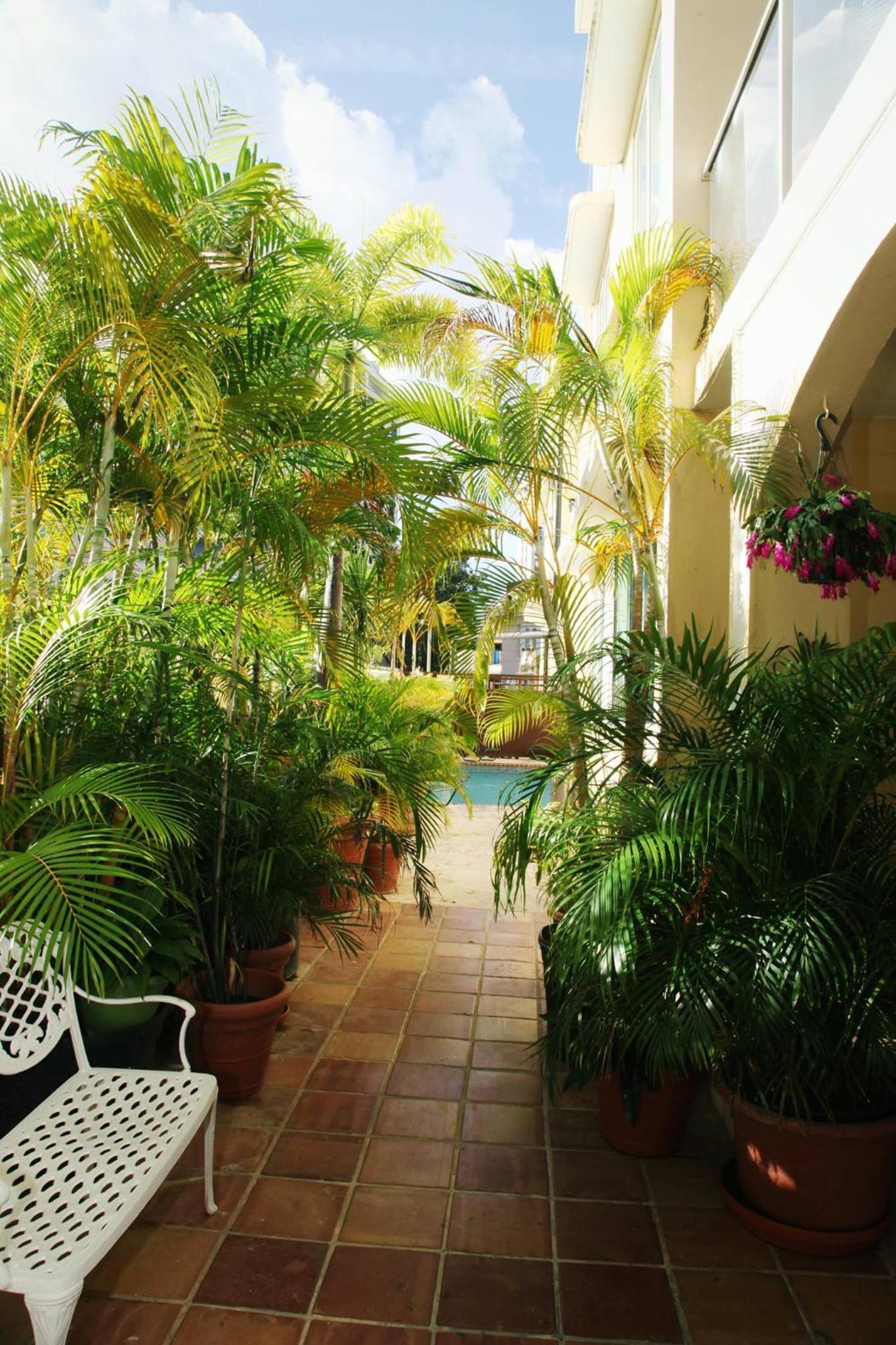 Coral Princess Hotel - Property Image 12