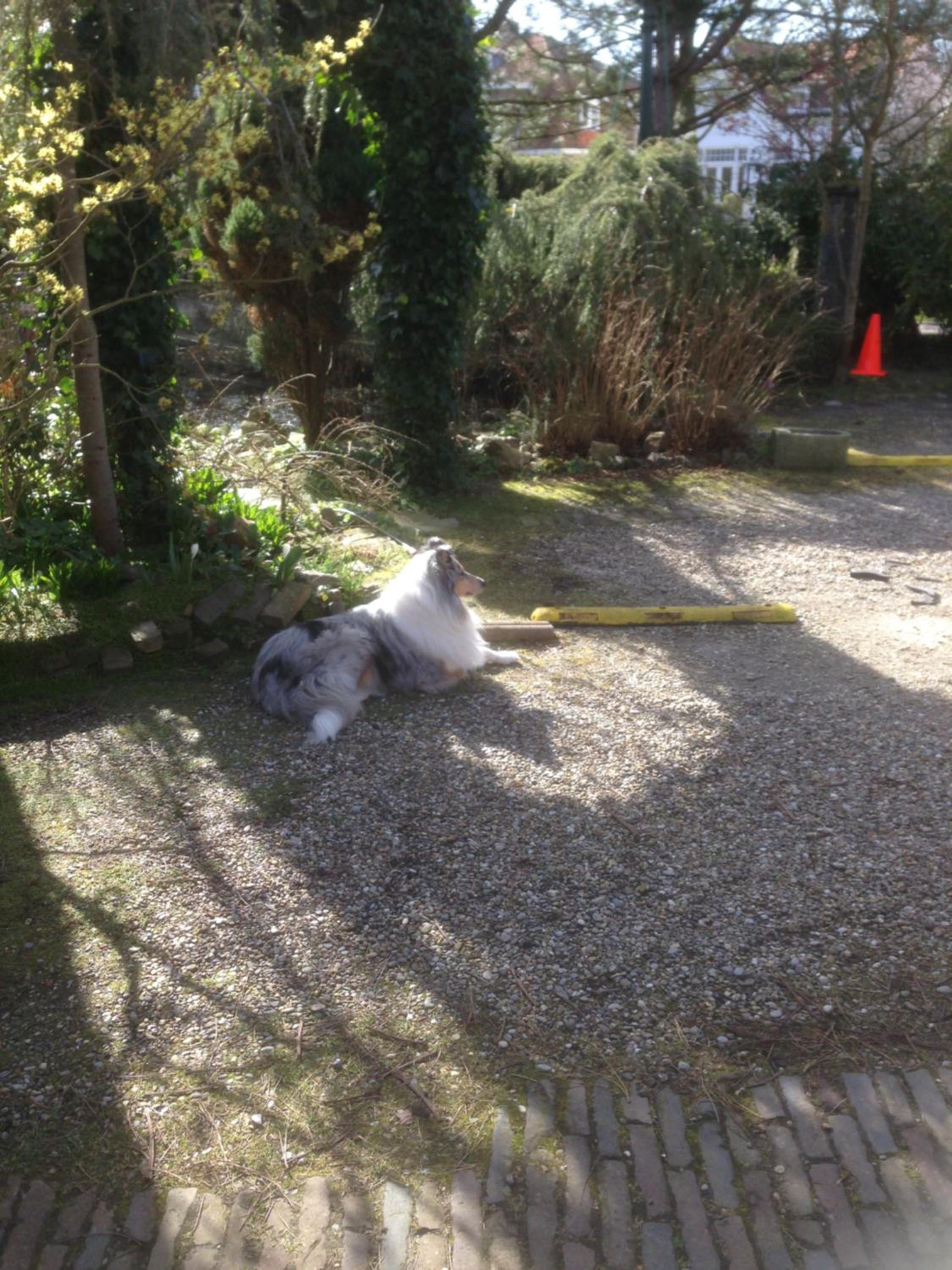 Photo 17