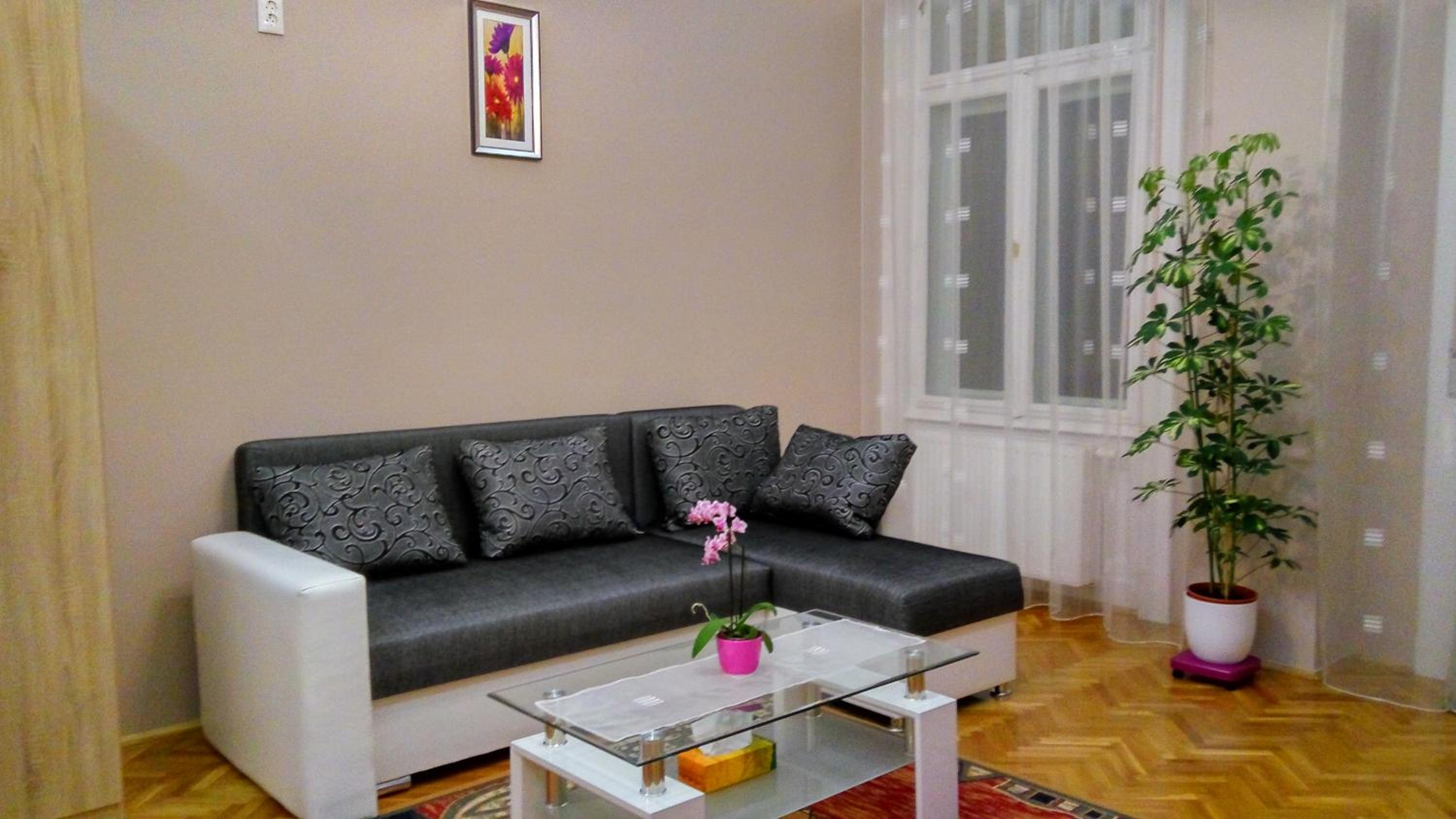 Klauzál Apartment view 5
