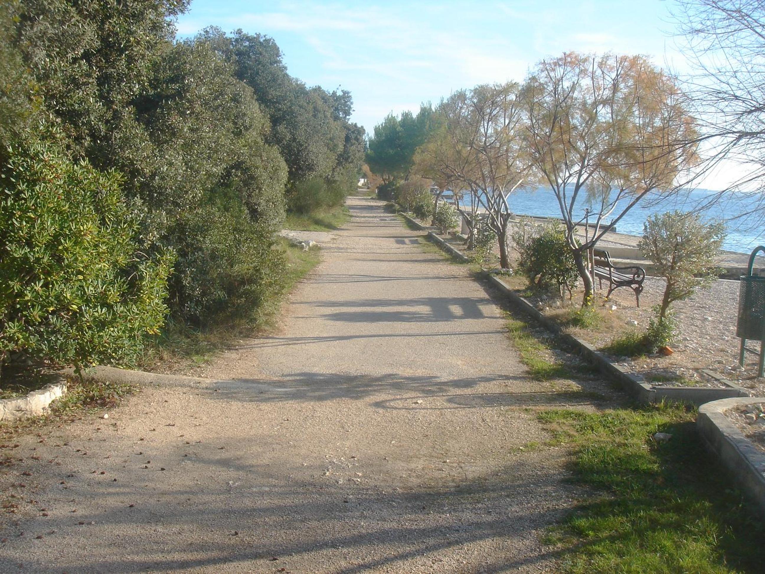 Photo 52