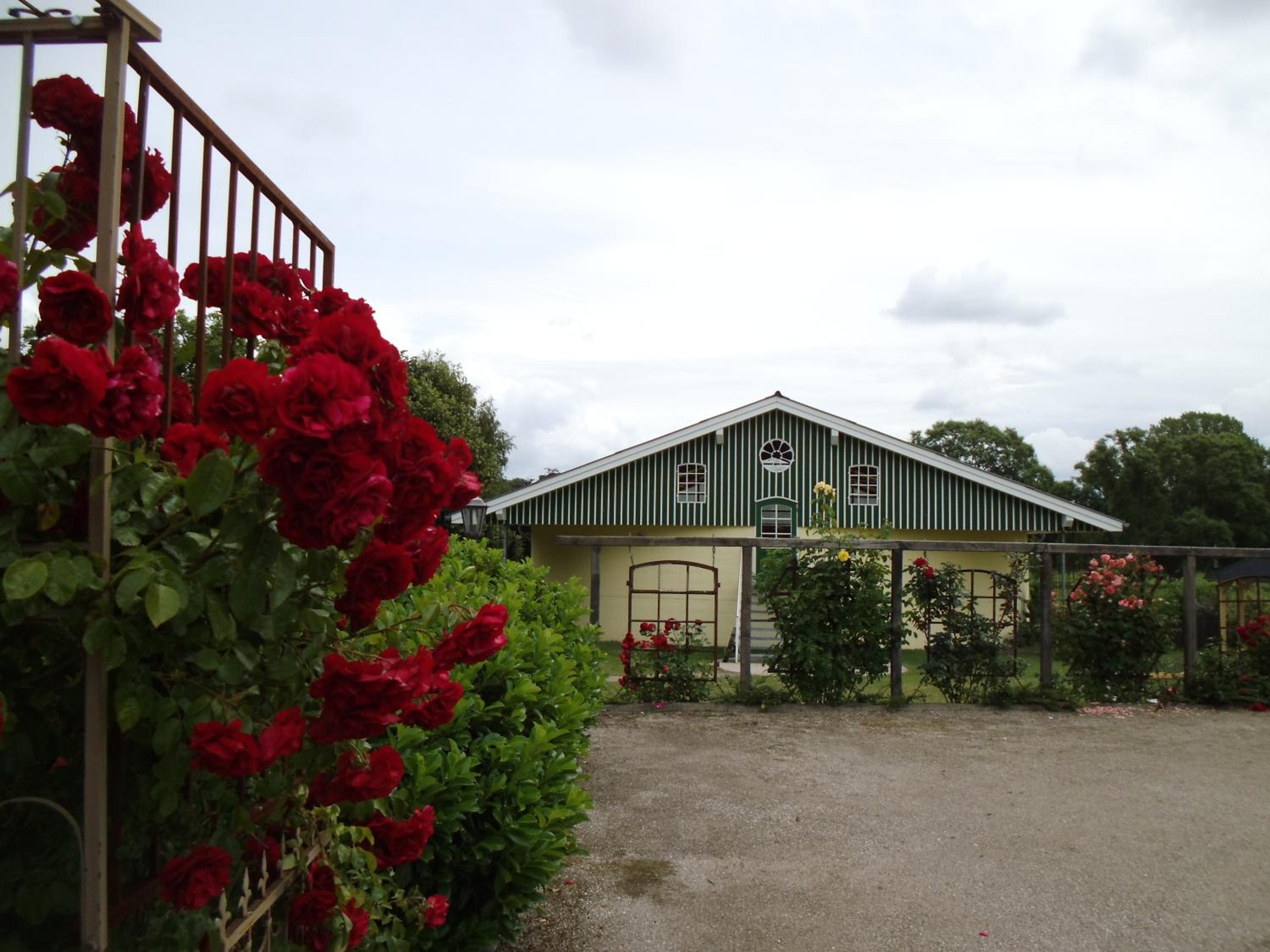 Photo 18
