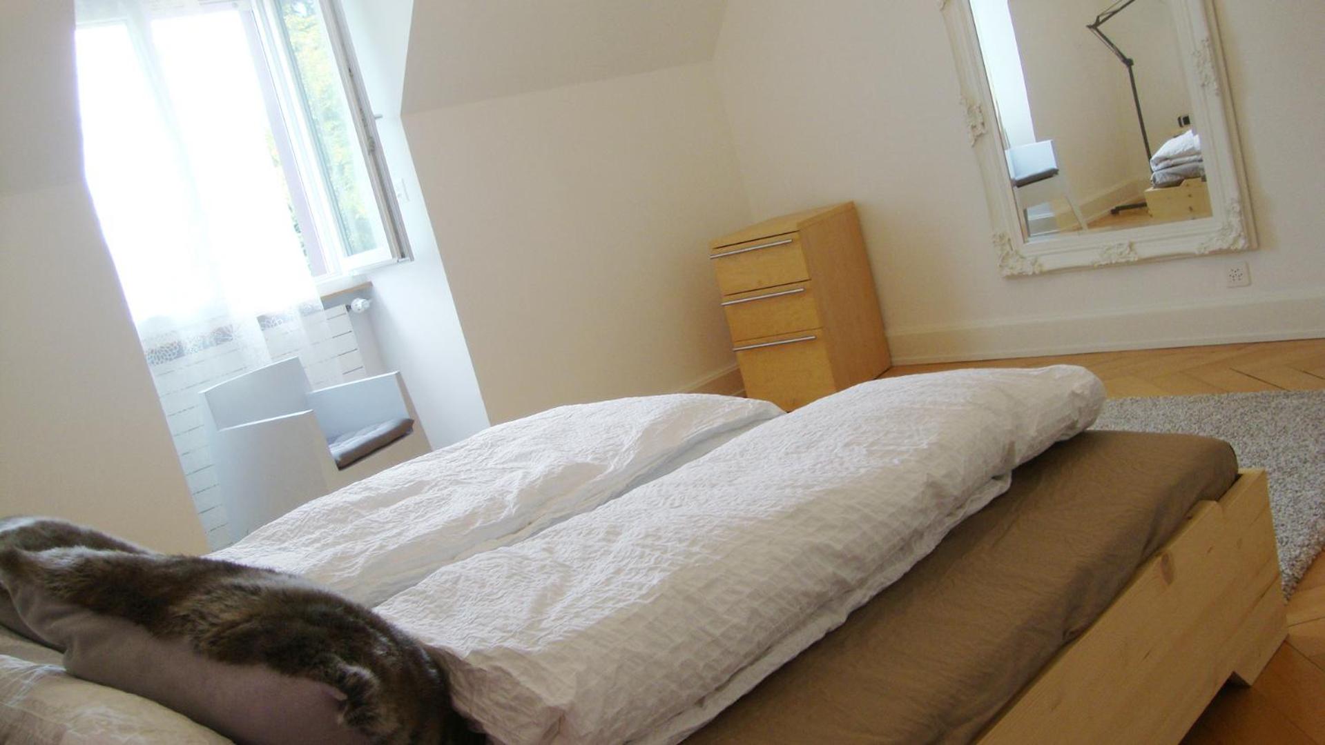 B&B Laupenring, Basel
