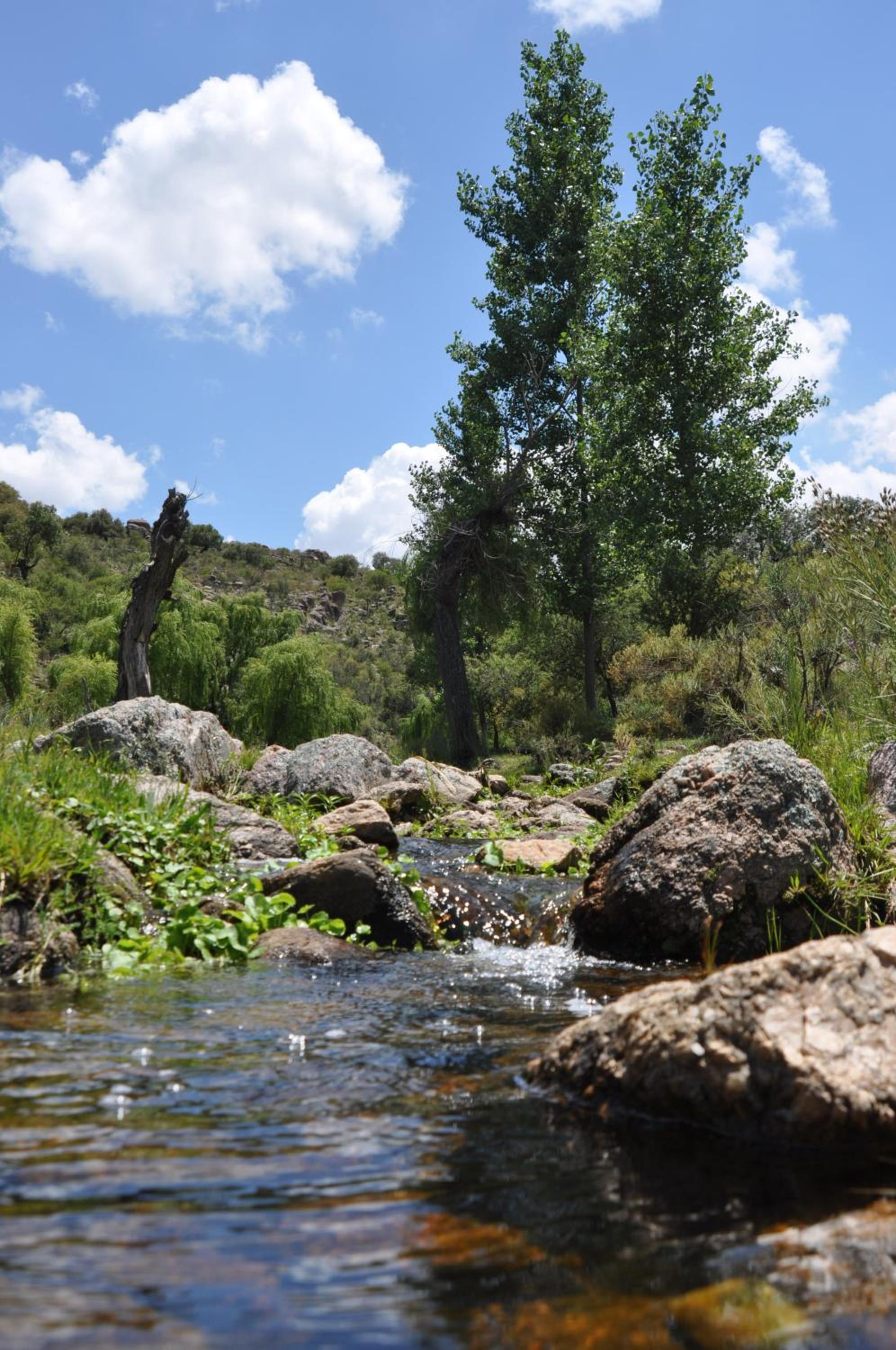 Quebrada Mansa