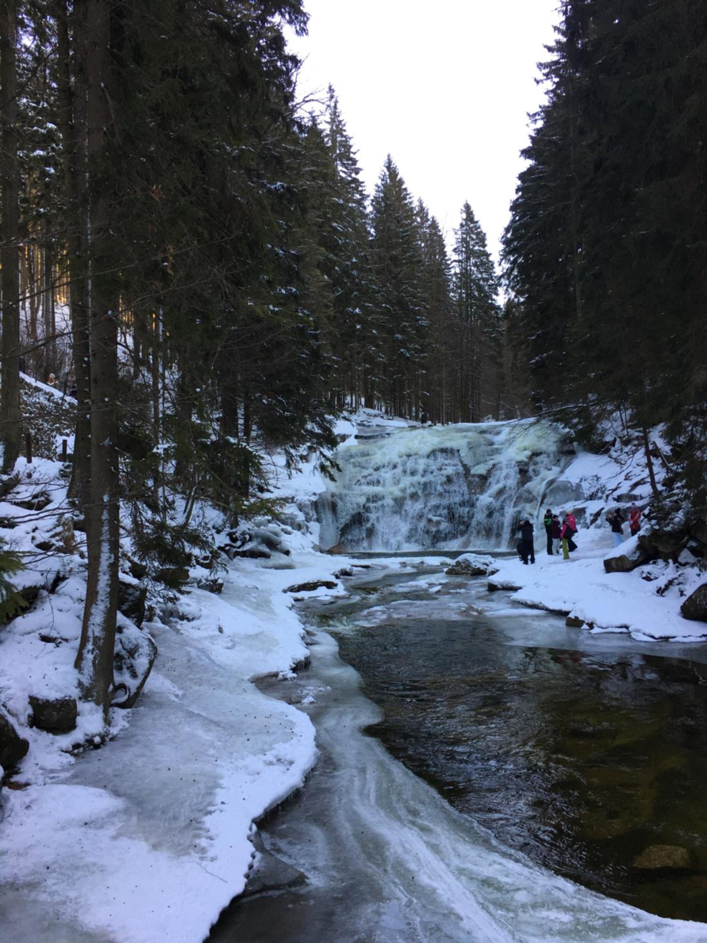 Penzion Janouškovi