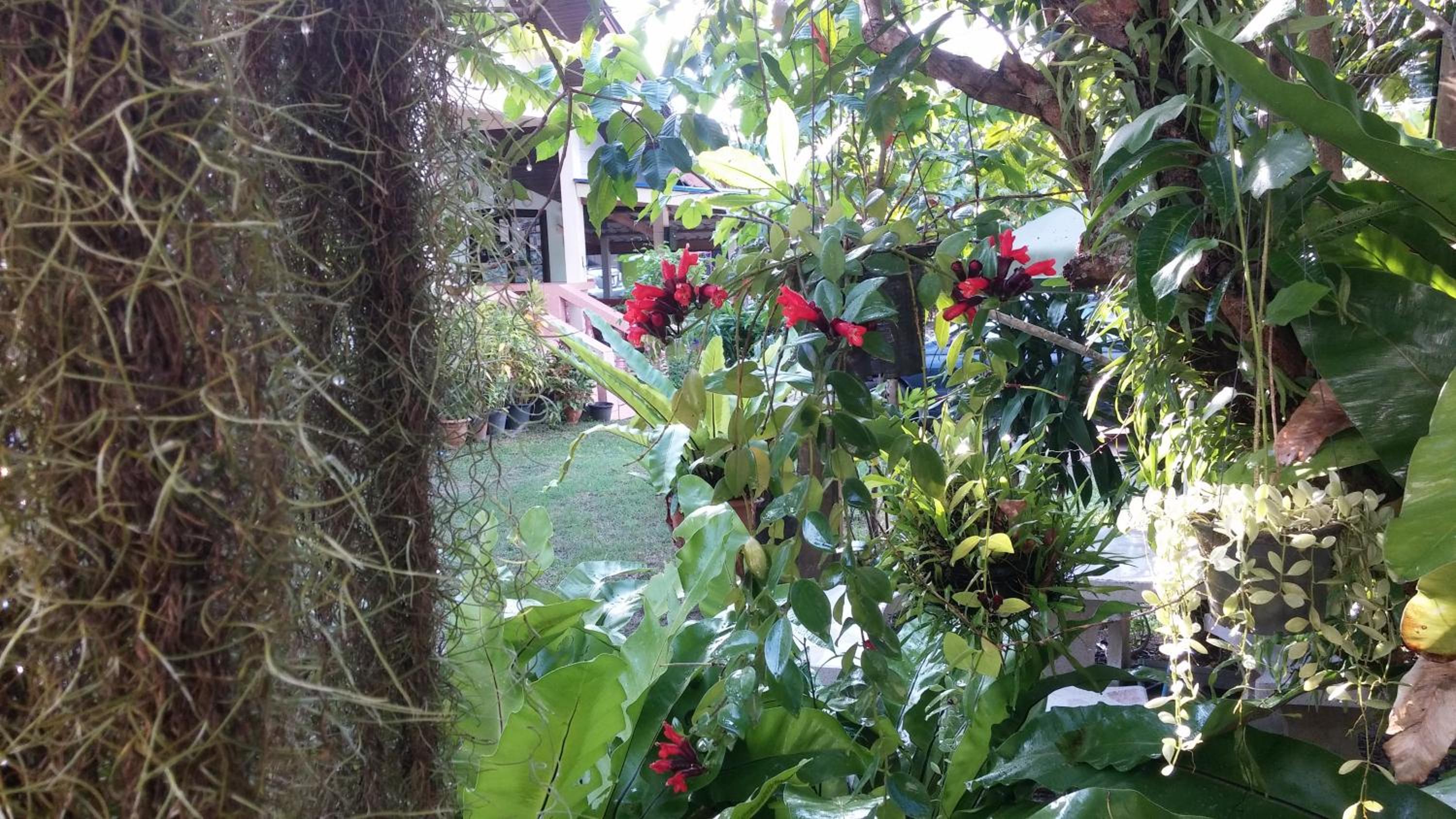 Photo 32