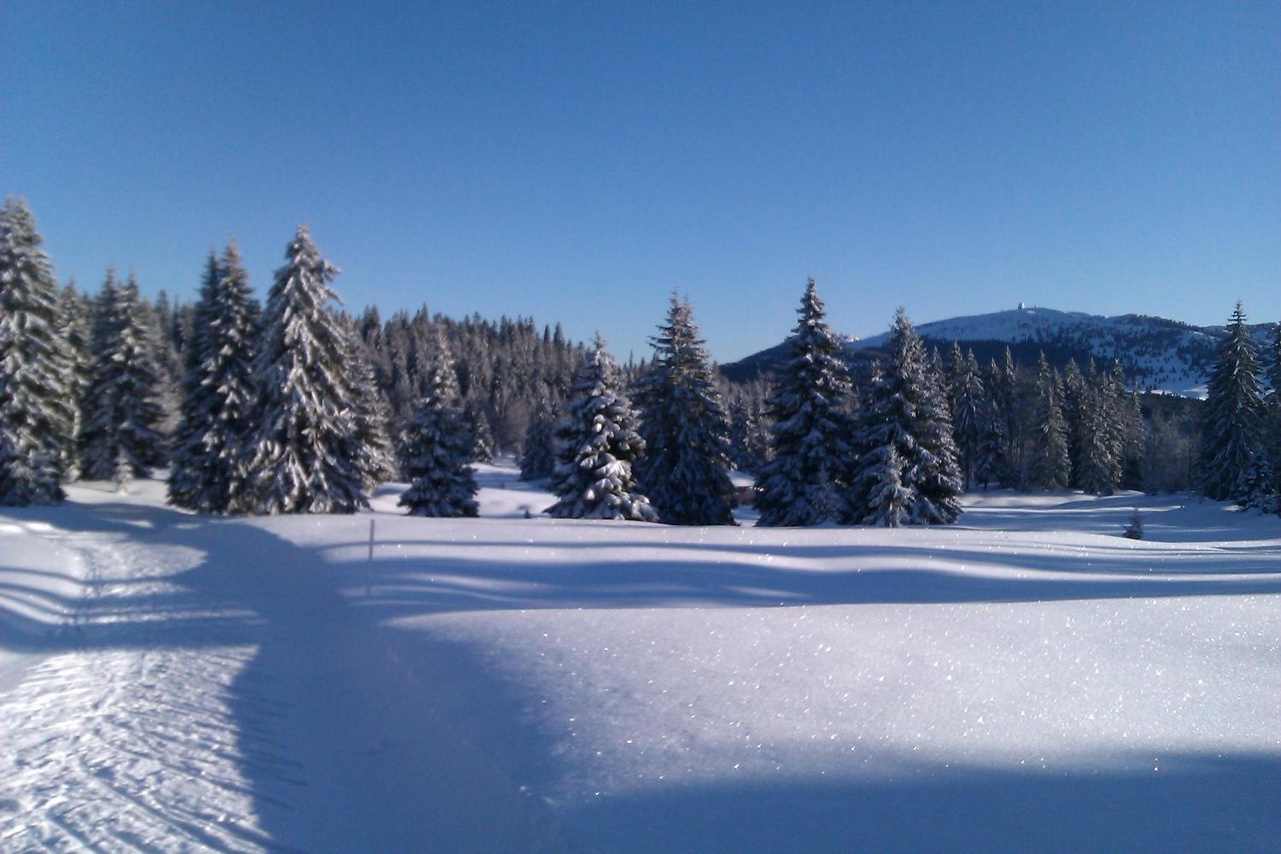 Chalet Daria view 5