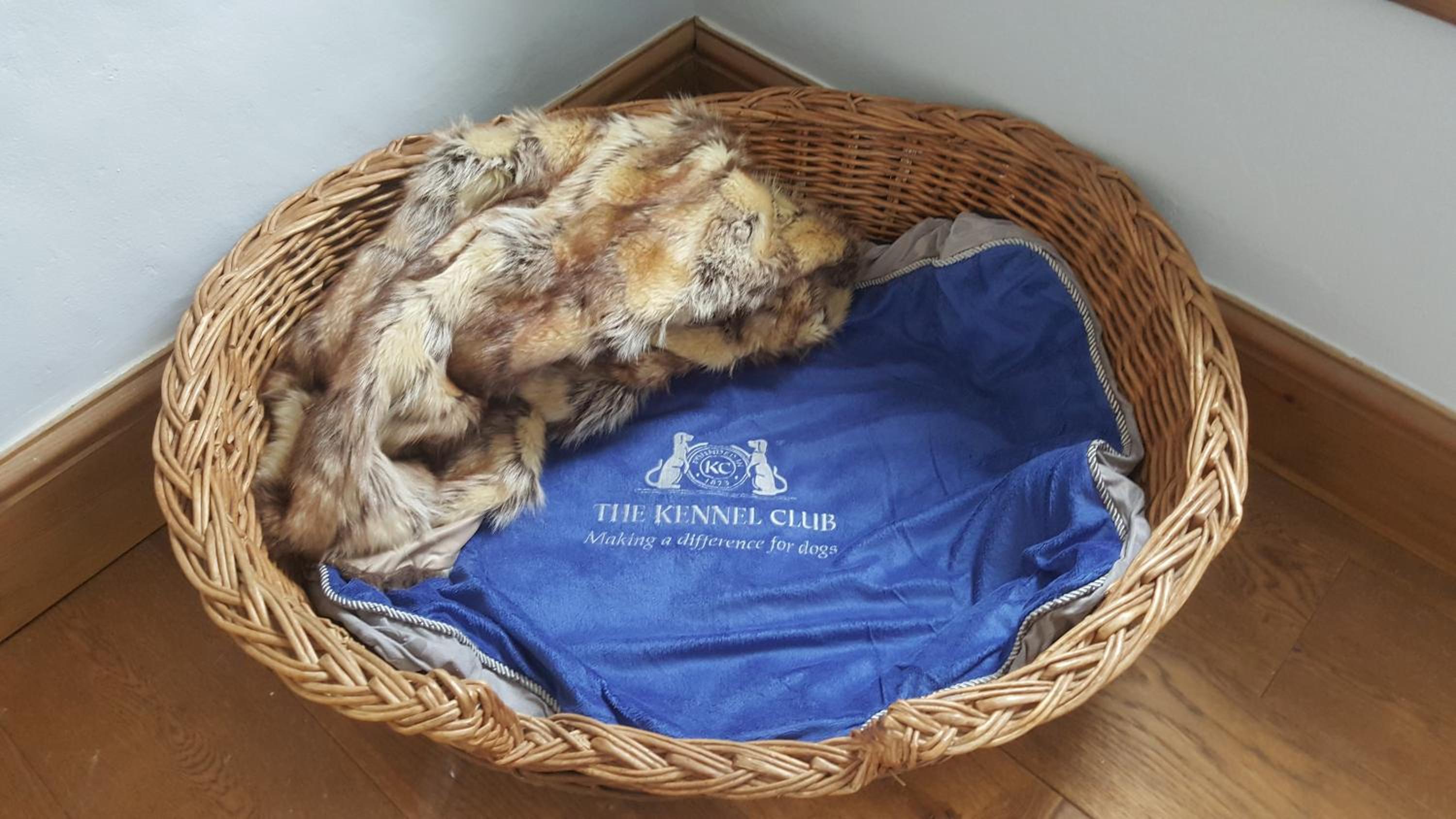 Stroud Vacations - Grigshot Apartment - Property Image 2