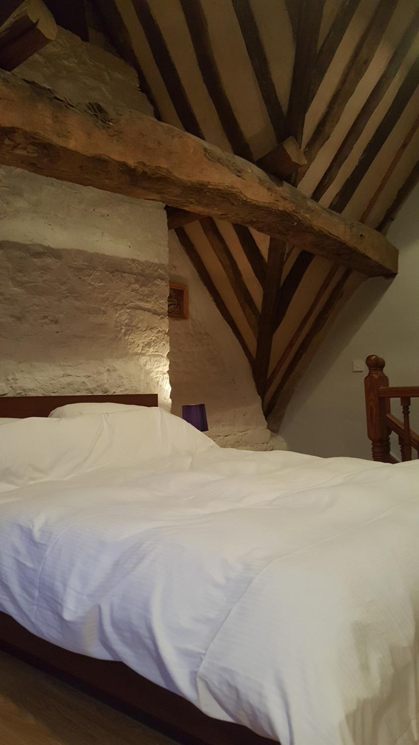 Stroud Vacations - Grigshot Apartment - Property Image 18