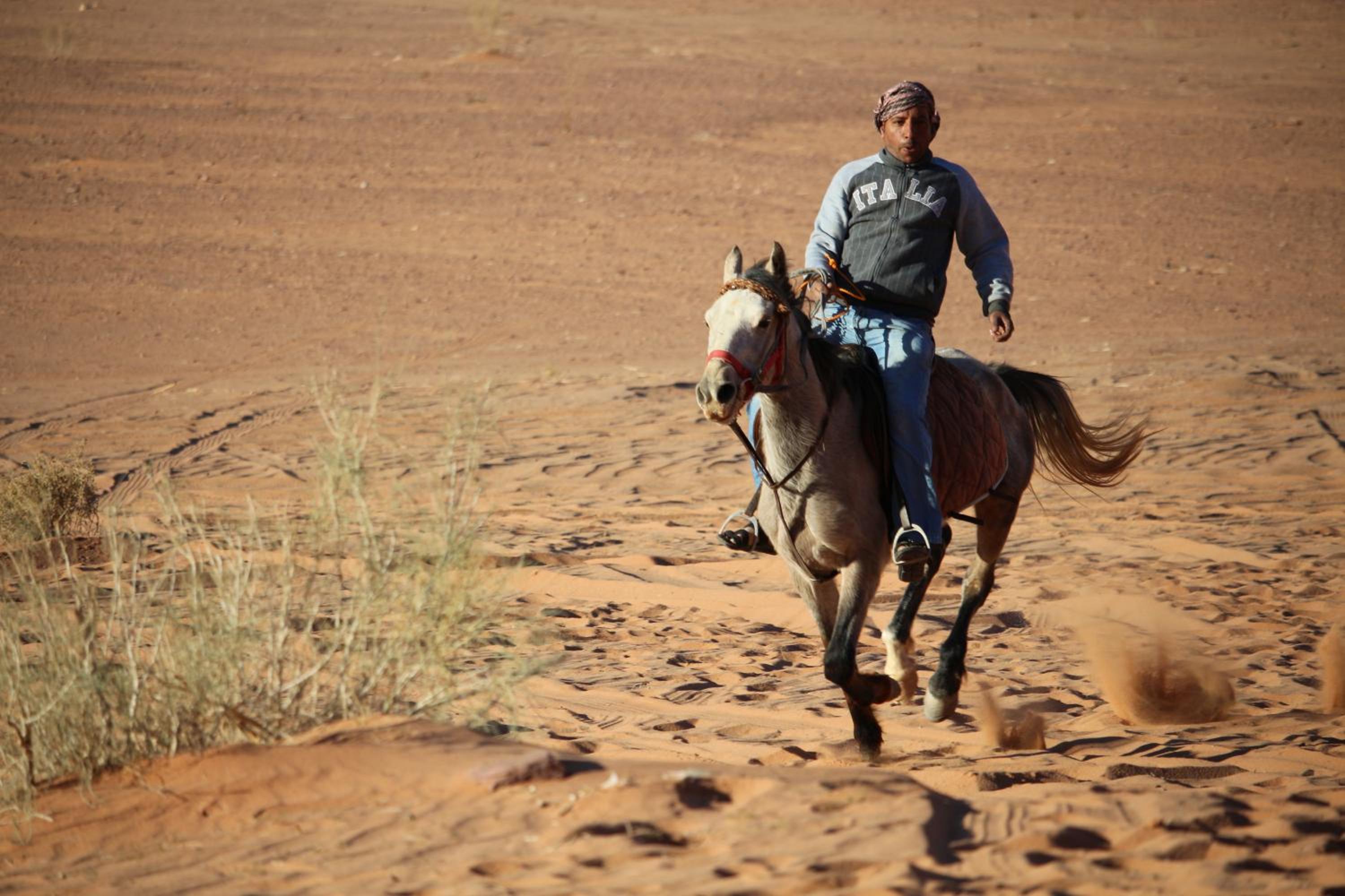 SunCity Camp — photo 75