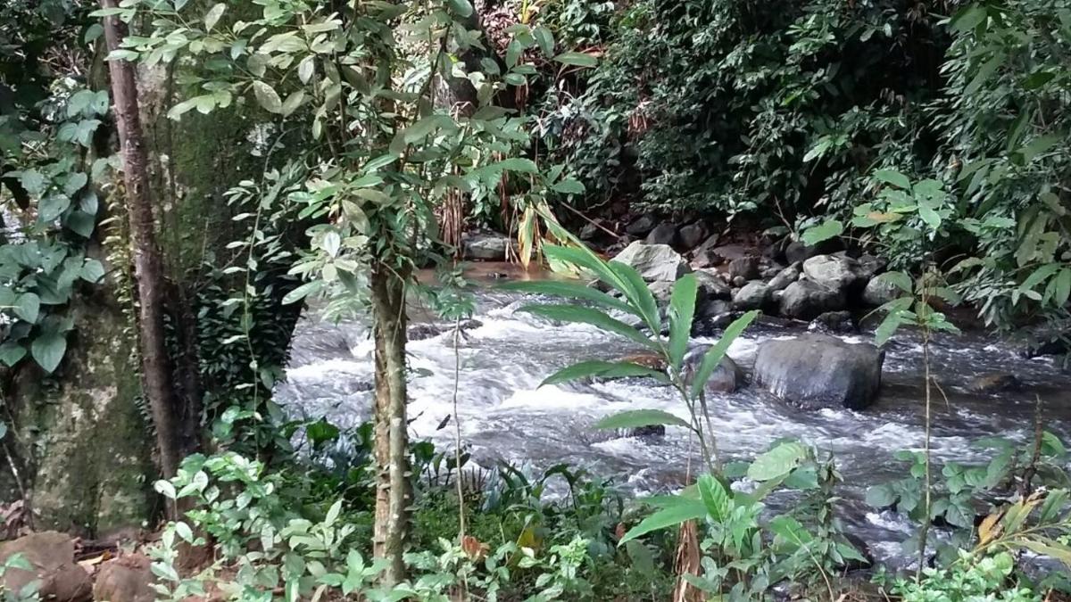 Raj Estate Stay 14