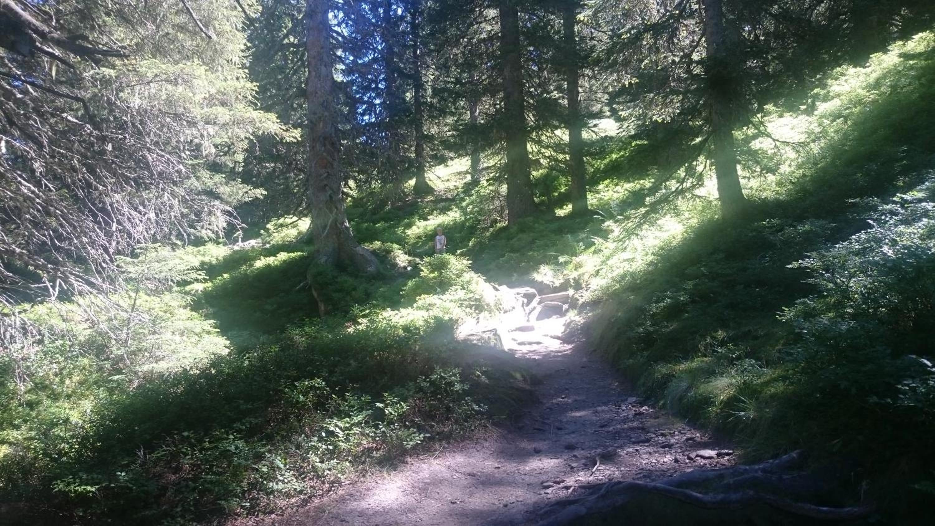 Photo 10