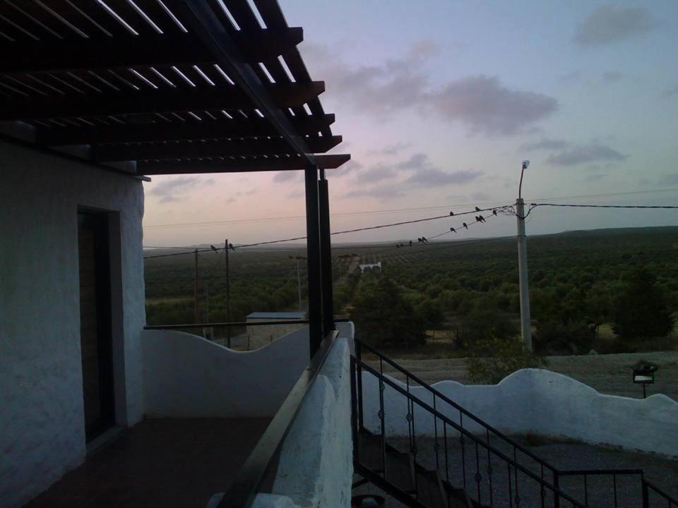 Caleta Oliva