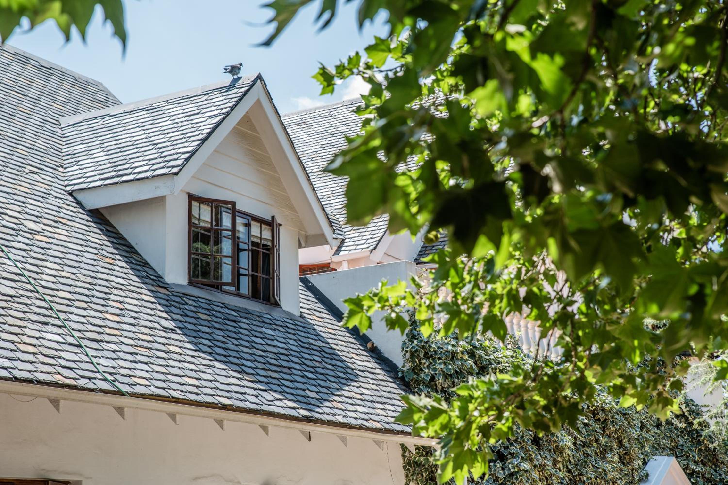 5th Avenue Gooseberry Guest House