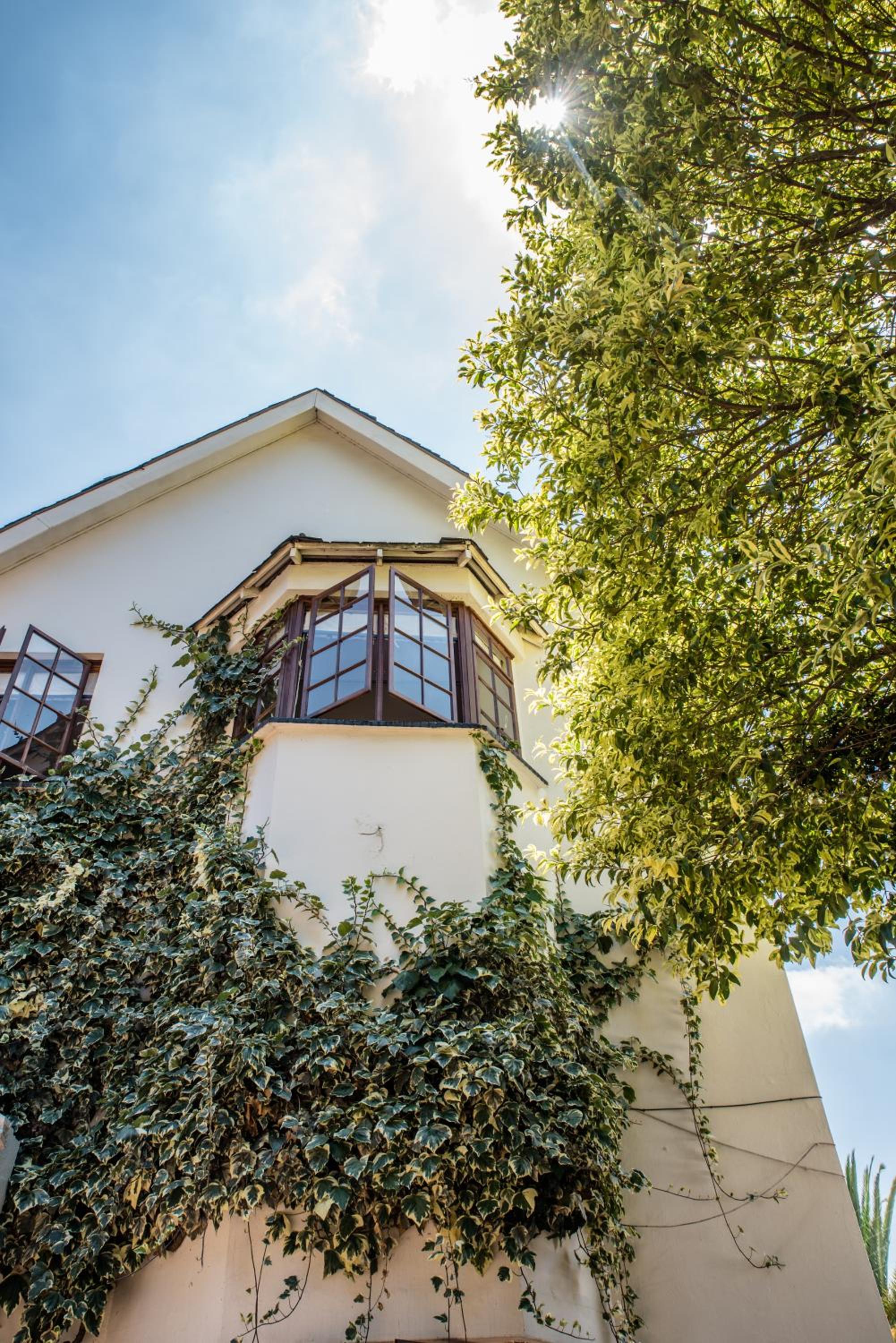 5th Avenue Gooseberry Guest House