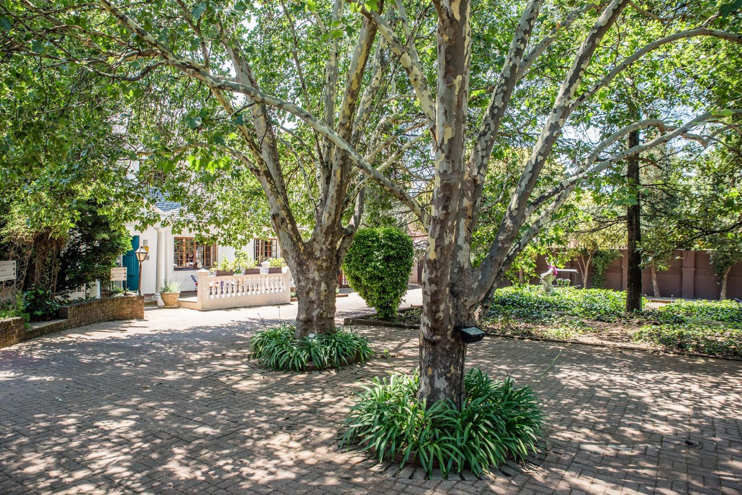 5th Avenue Gooseberry Guest House