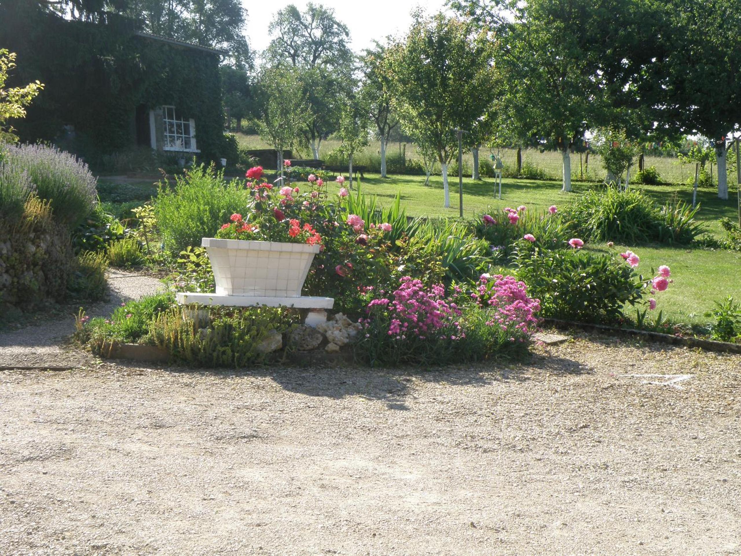 Photo 31