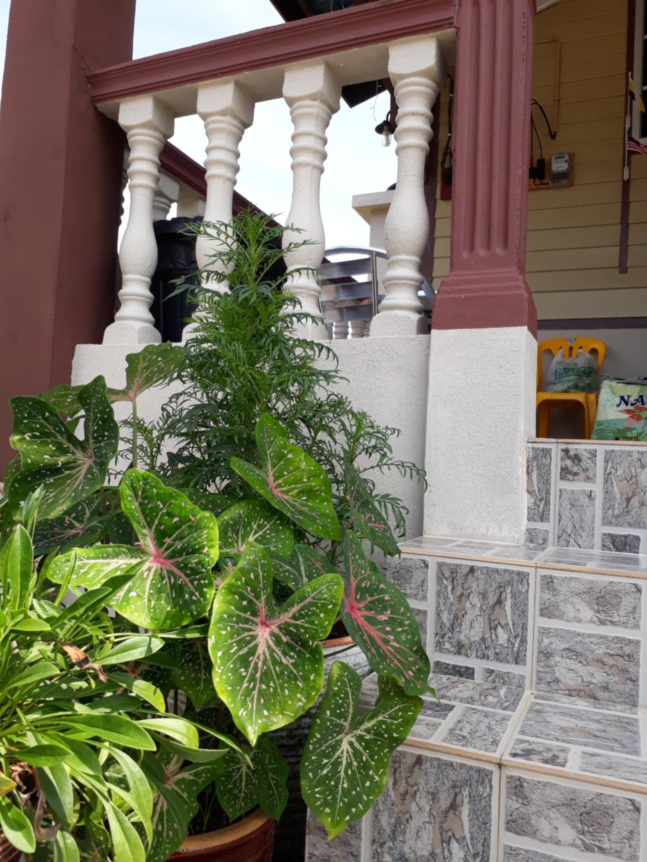Photo 19