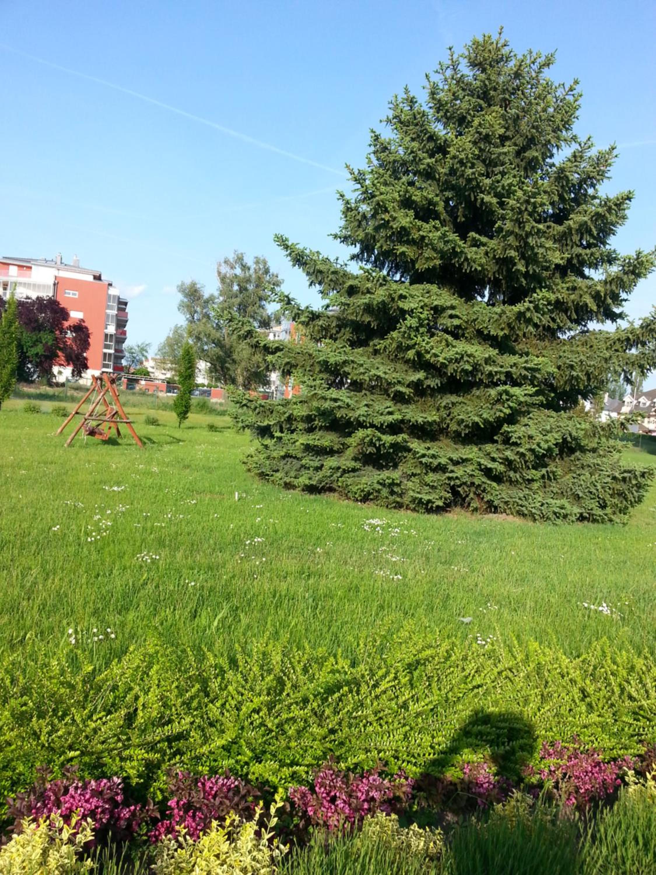 Photo 53