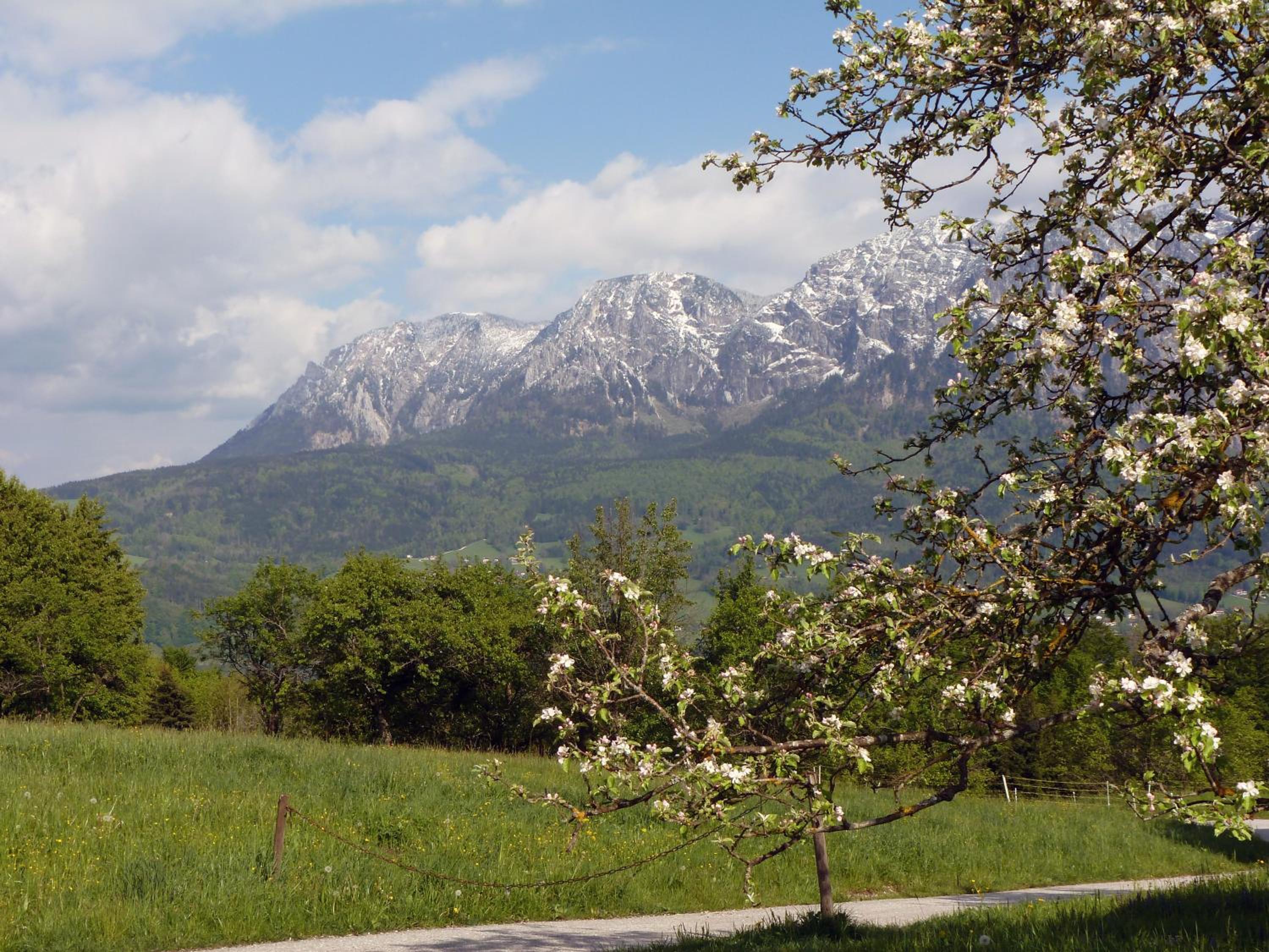 Photo 69