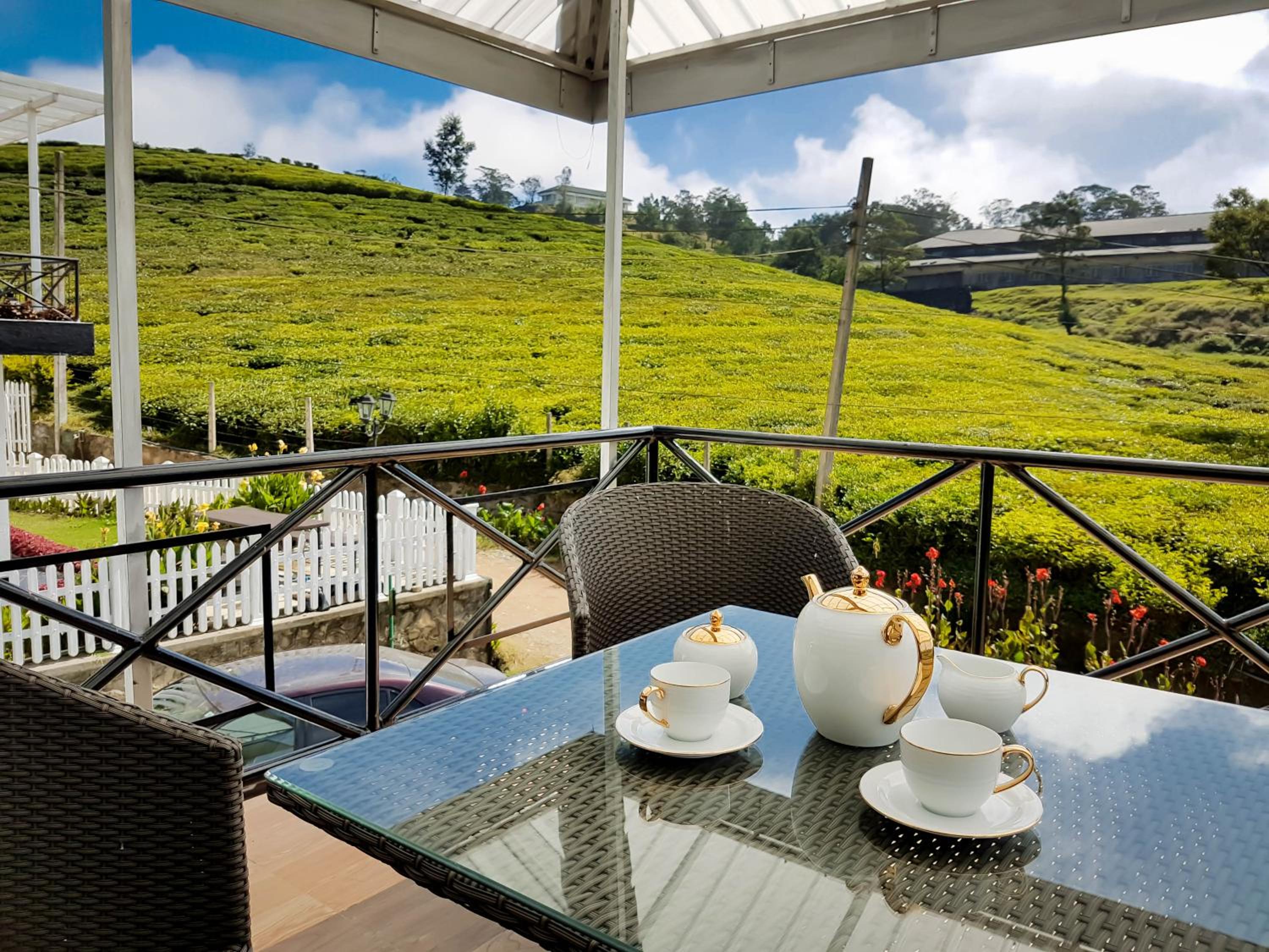 The Tea Garden view 3