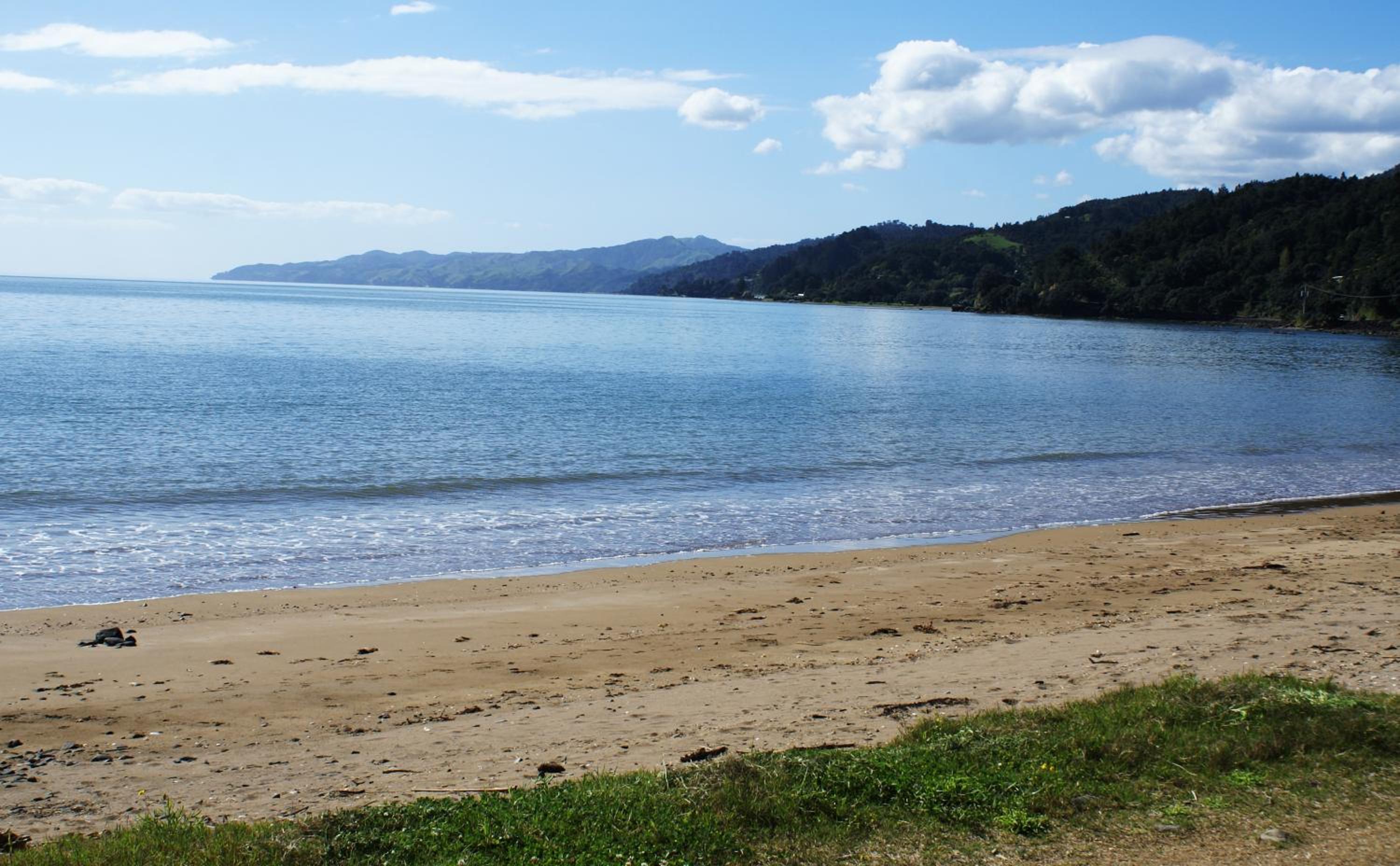 Te Puru Beach Lodge