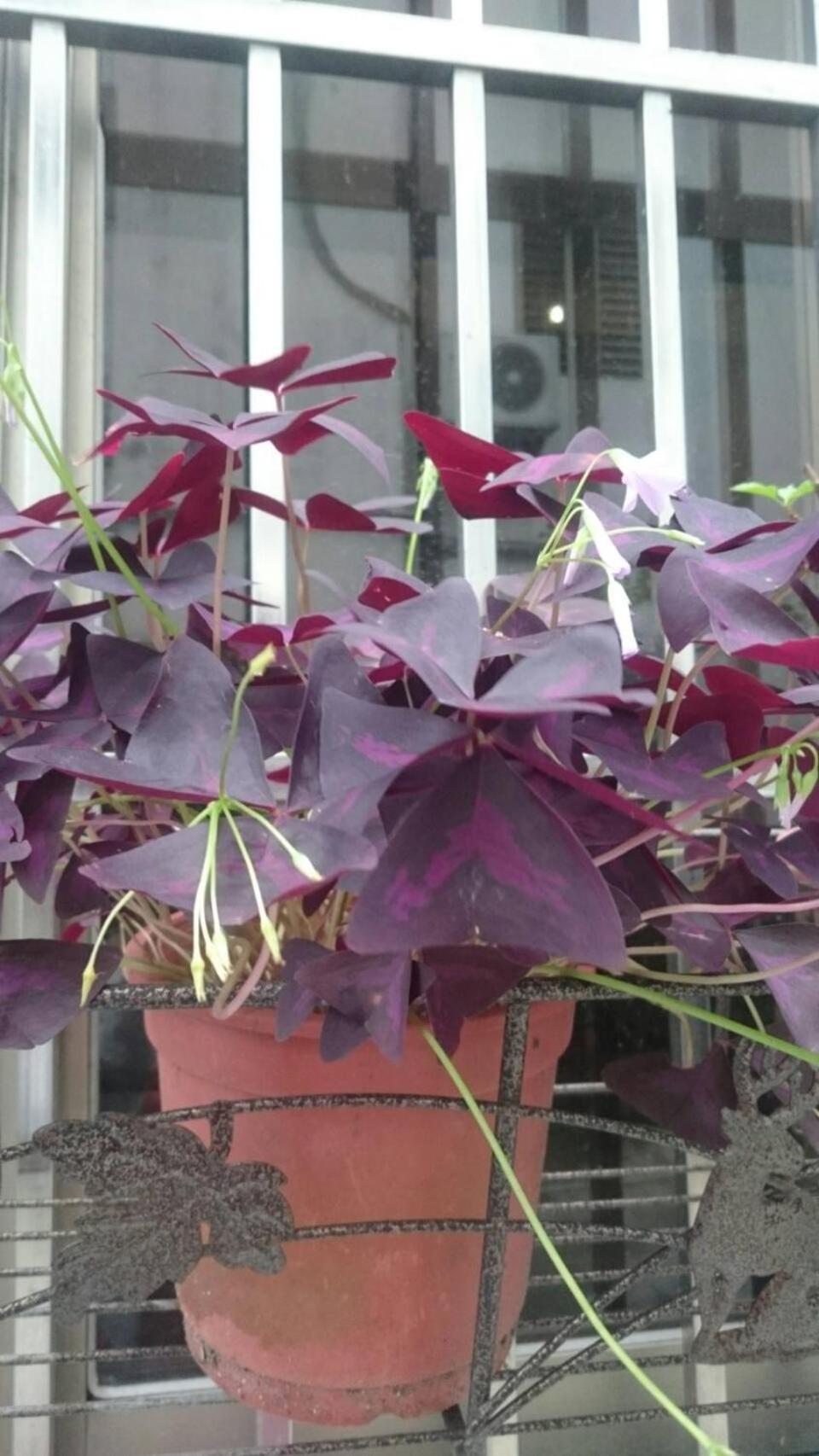 Photo 59