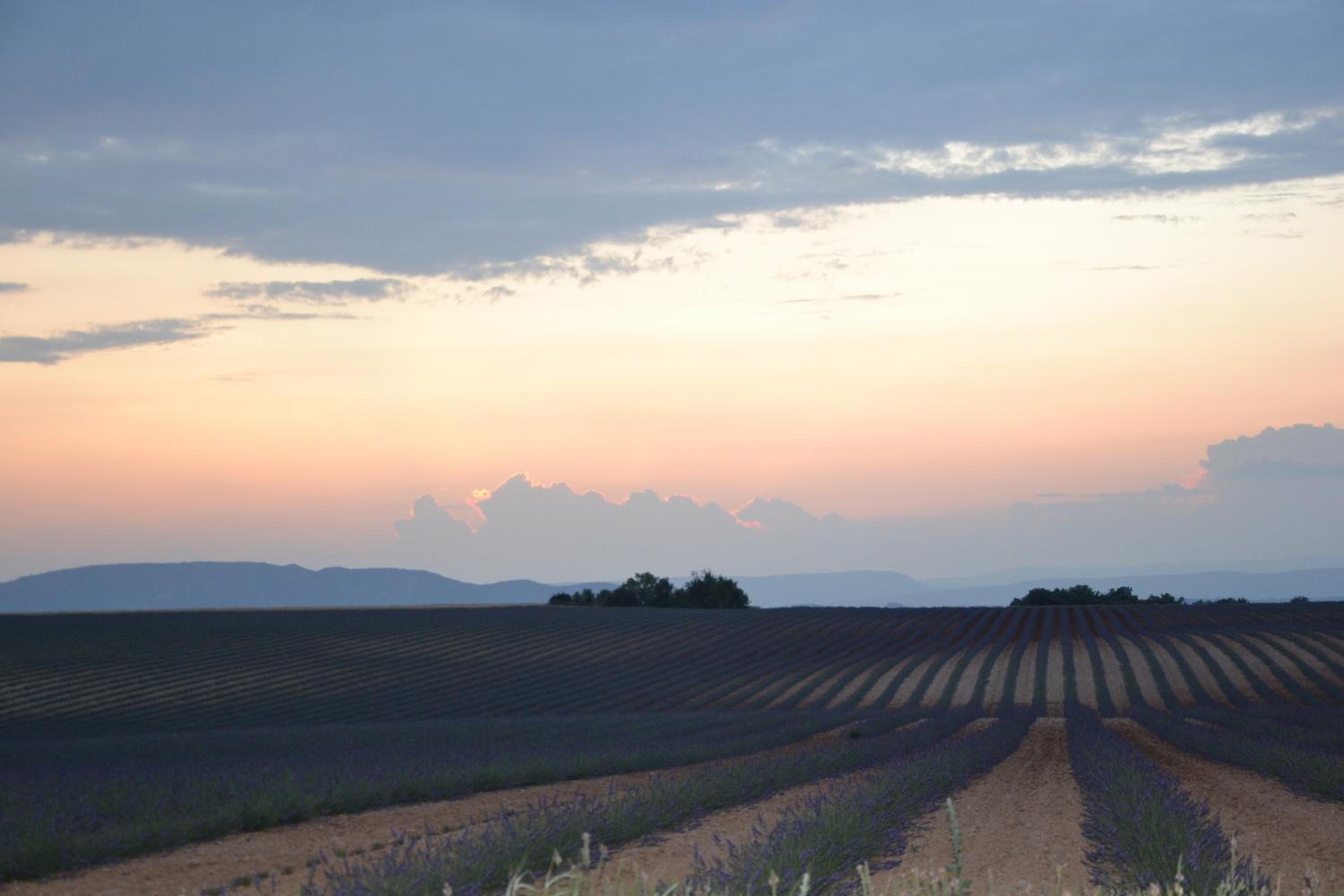 Les Terrasses de Valensole