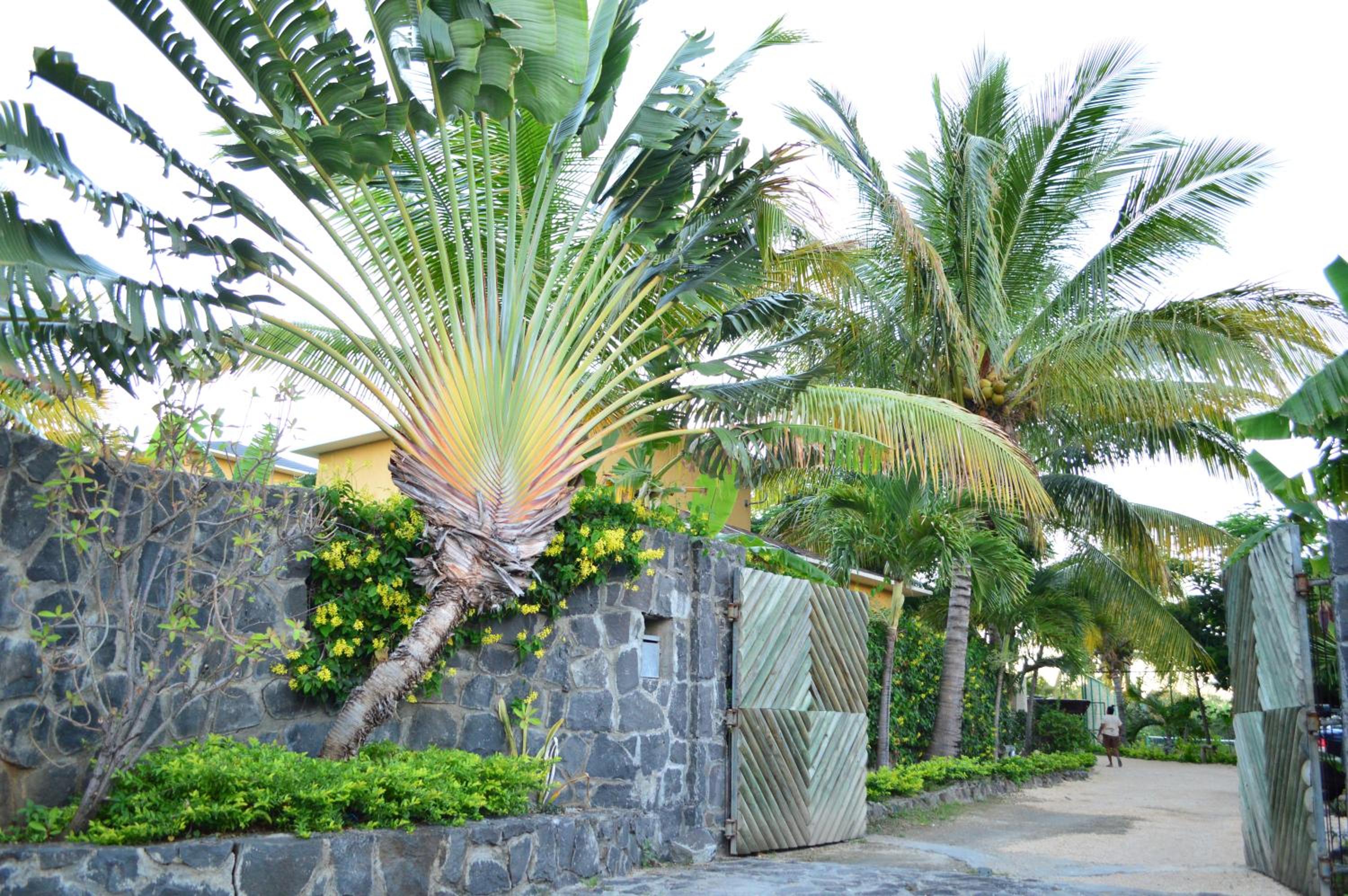 Le Gite du Bonheur Guest House & Car Rental, photo 37