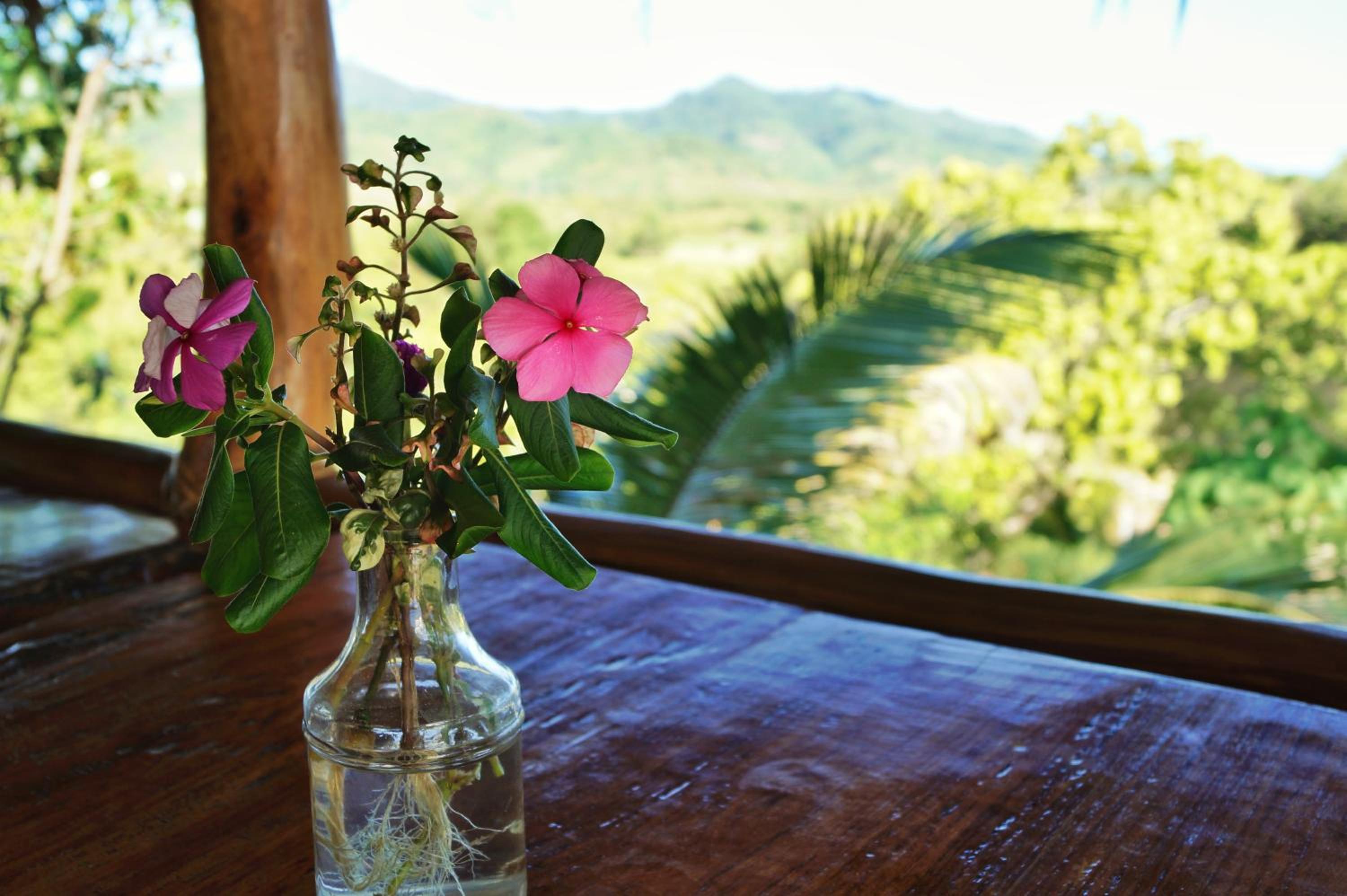 Erlittop Nature Lodge