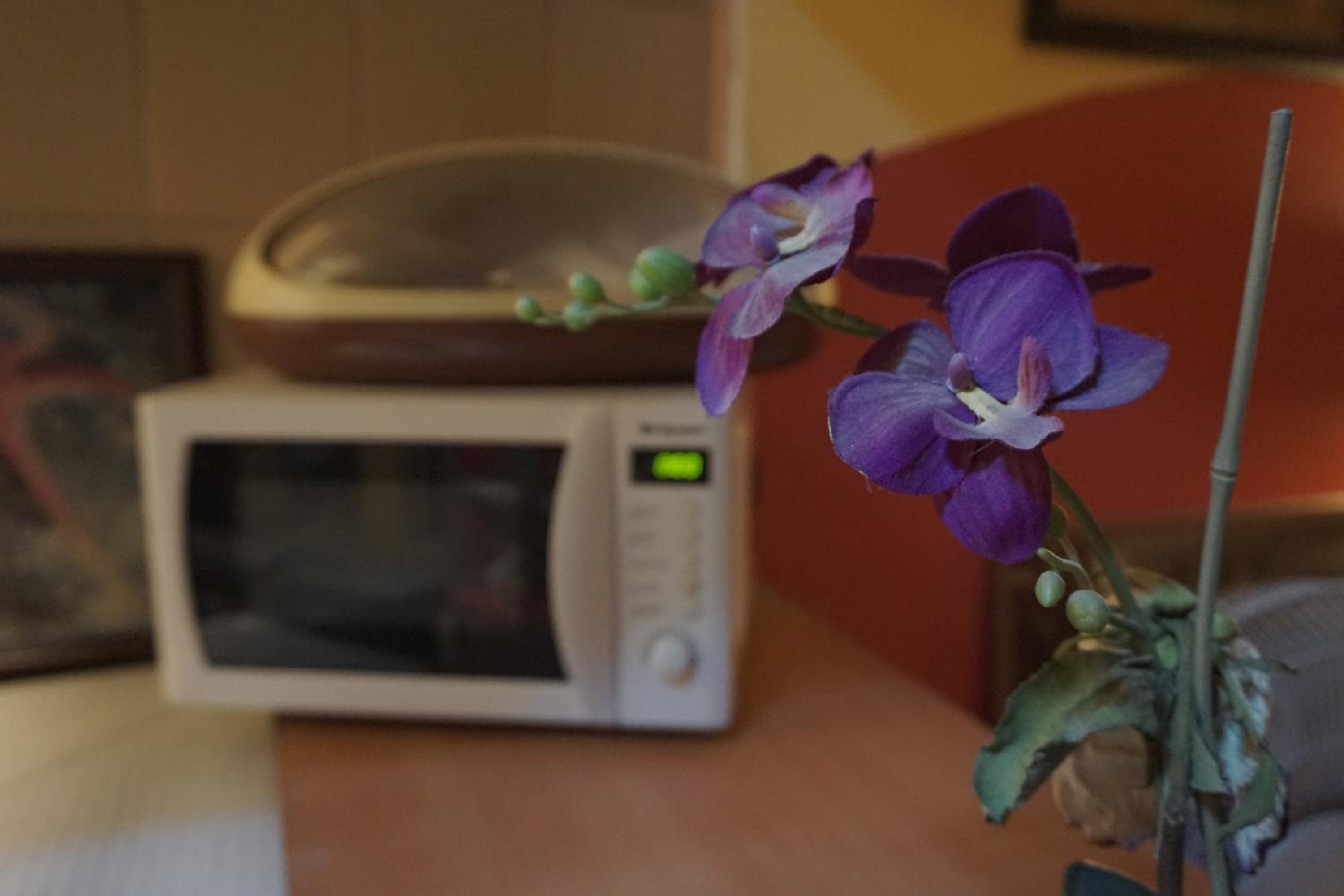 Chillout Lya Yurt & Lounge - Image 20