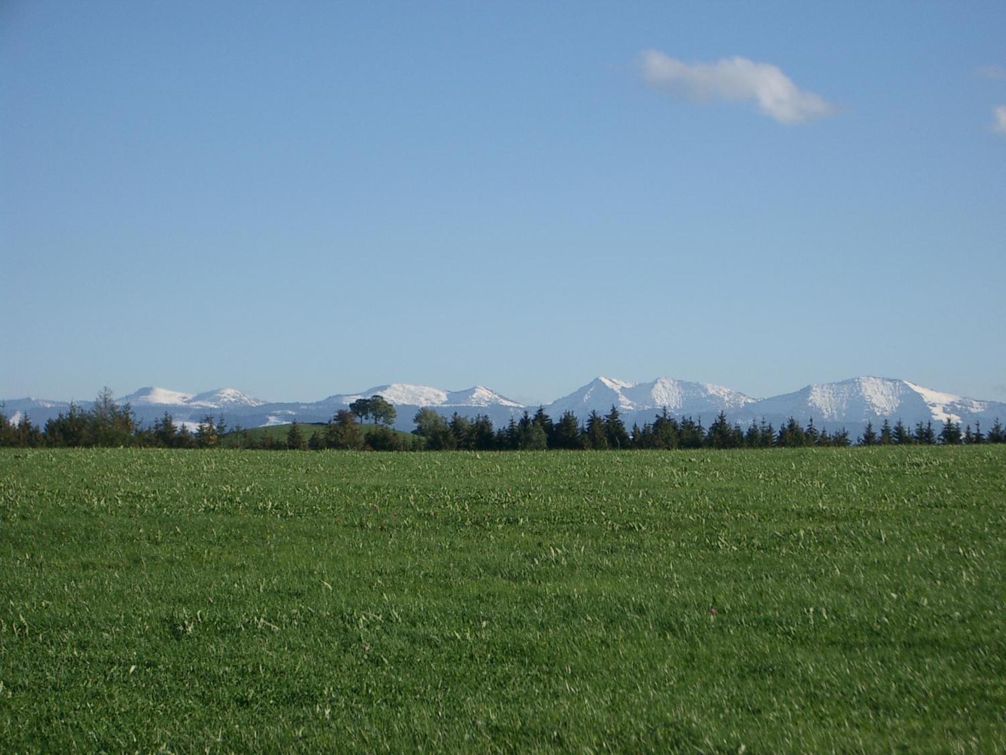 Photo 37