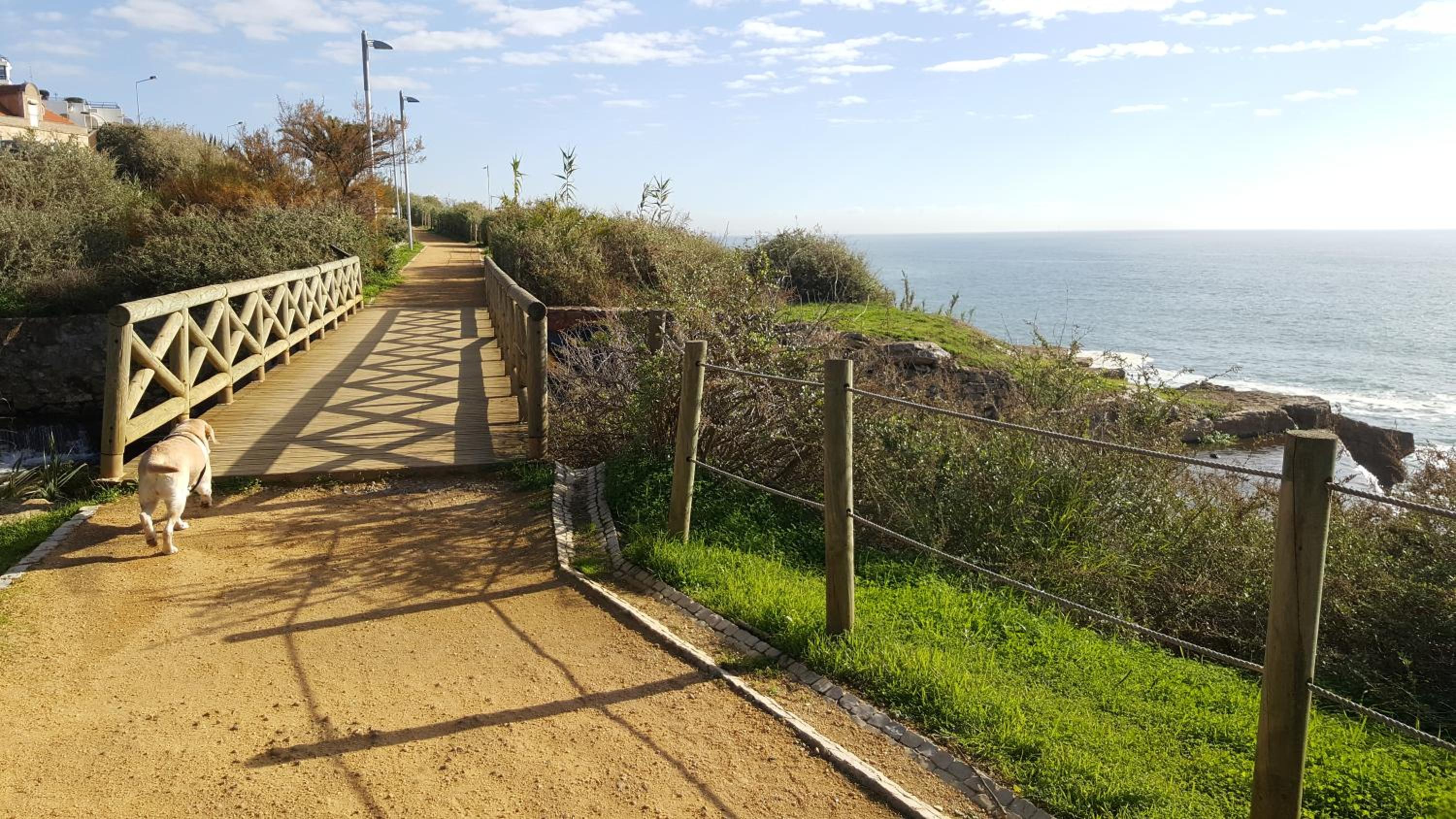 Cozy Beach House São Pedro Estoril view 5