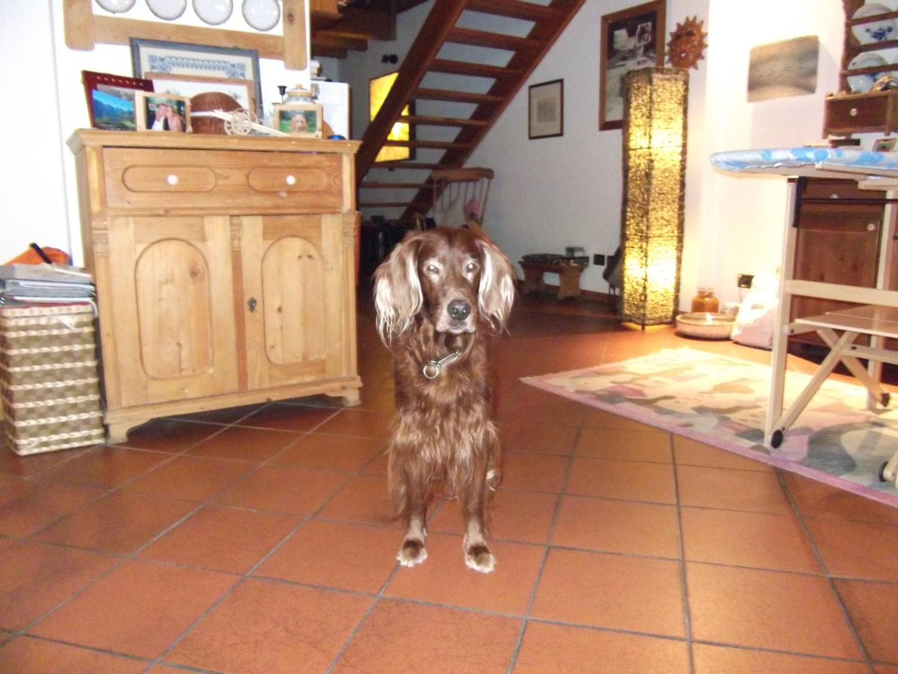 Photo 49