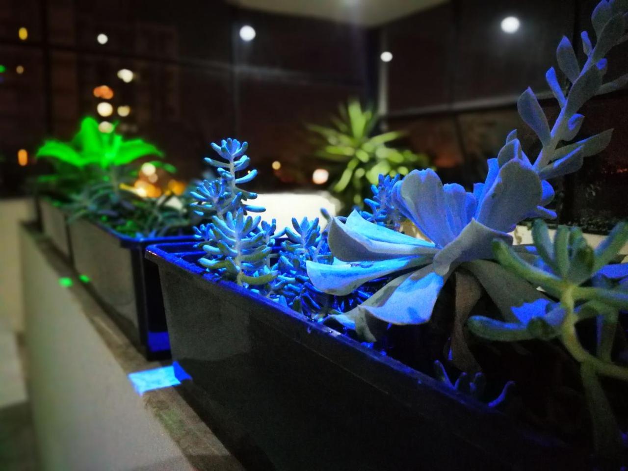 Guest House Jujuy